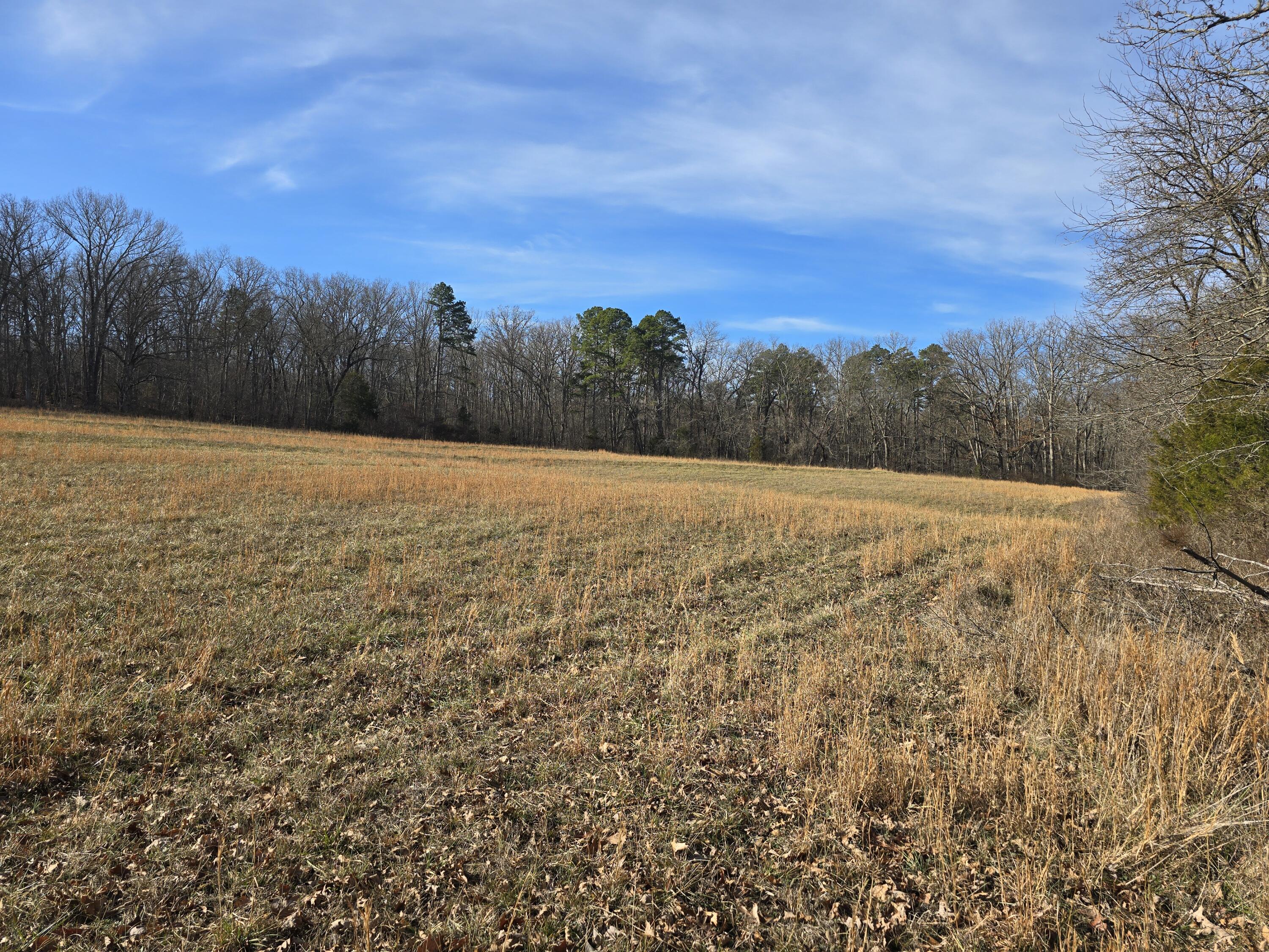 000 Airport Road Property Photo 21