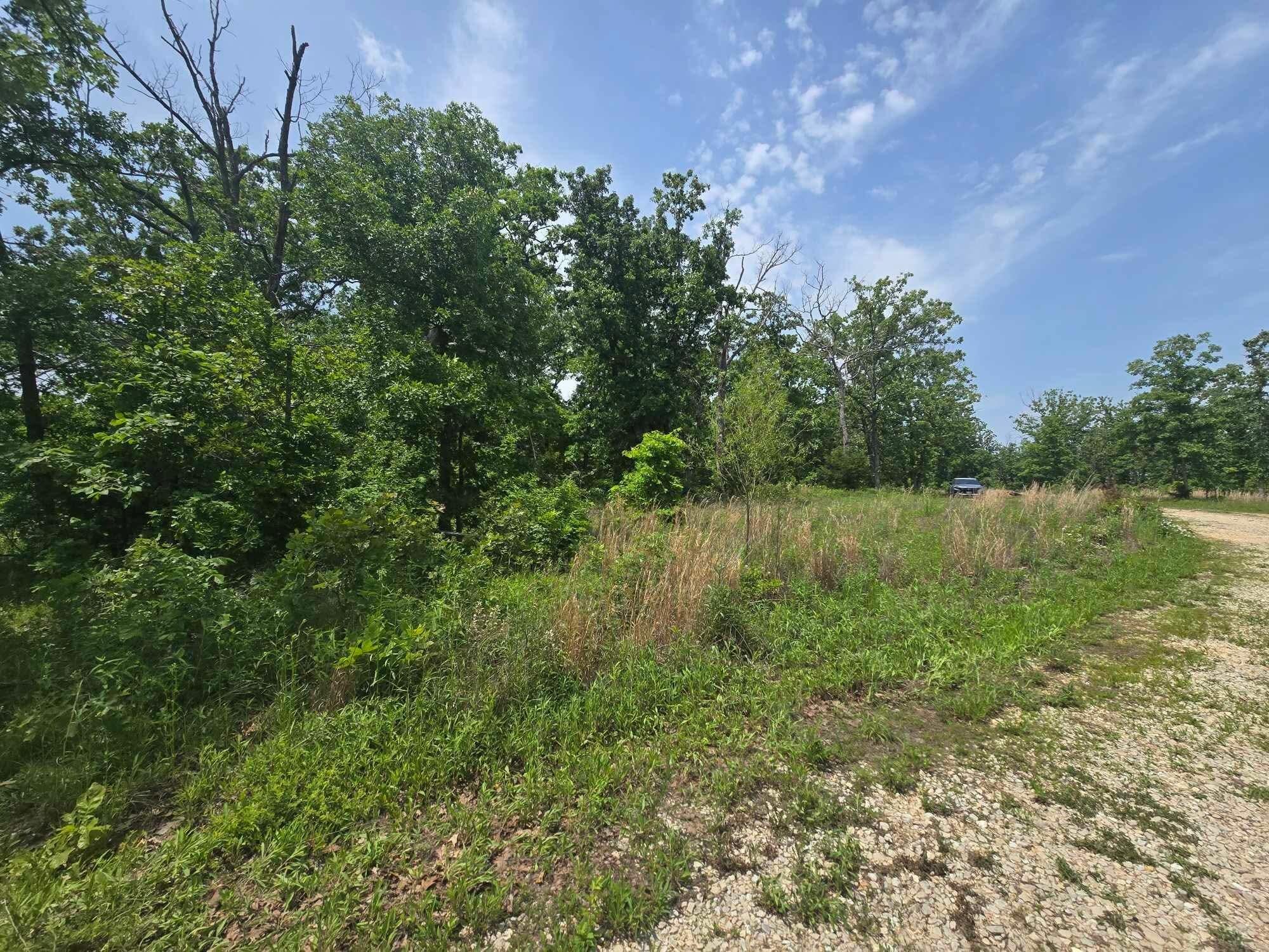 000 64 Hwy Lot 1 Property Photo 2
