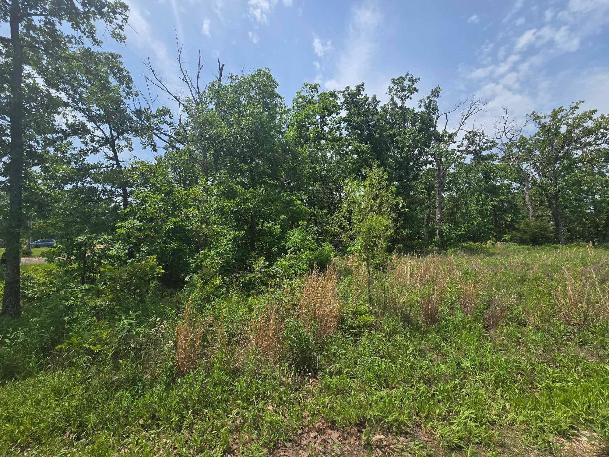 000 64 Hwy Lot 1 Property Photo 3