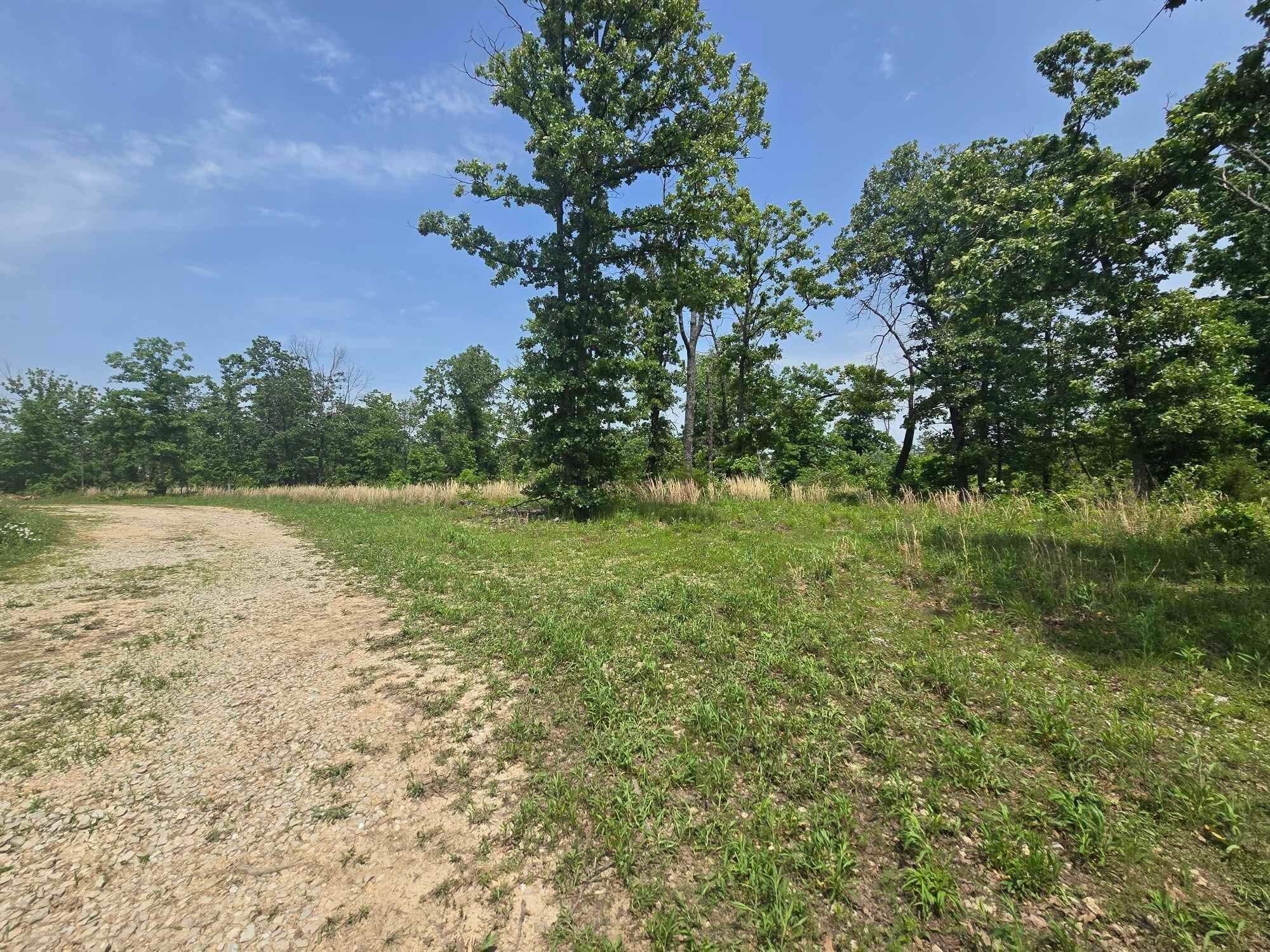 000 64 Hwy Lot 1 Property Photo 4