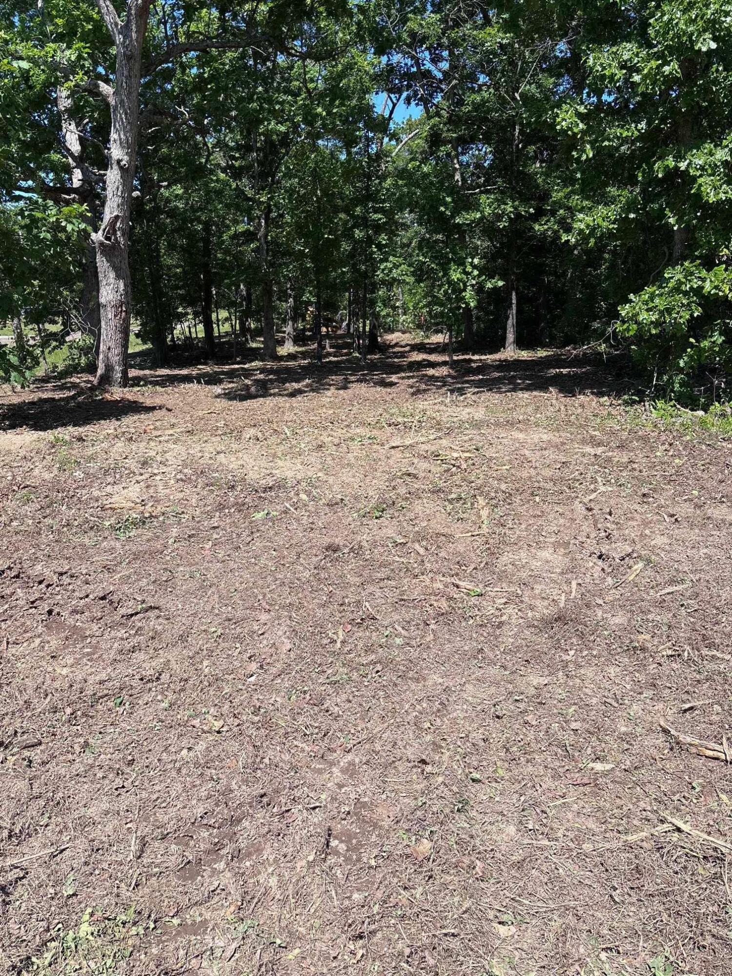000 64 Hwy Lot 1 Property Photo 5