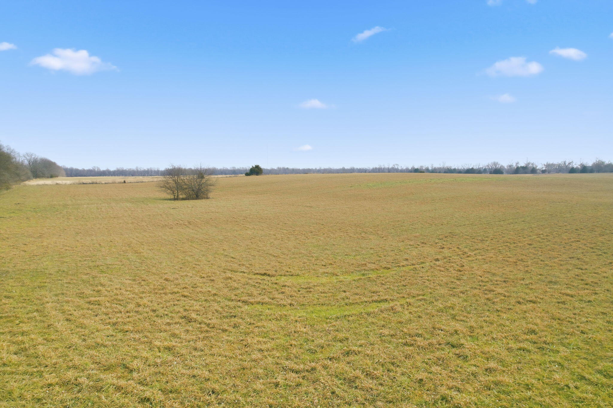 000 Tract3 West Farm Road 174 Property Photo 11