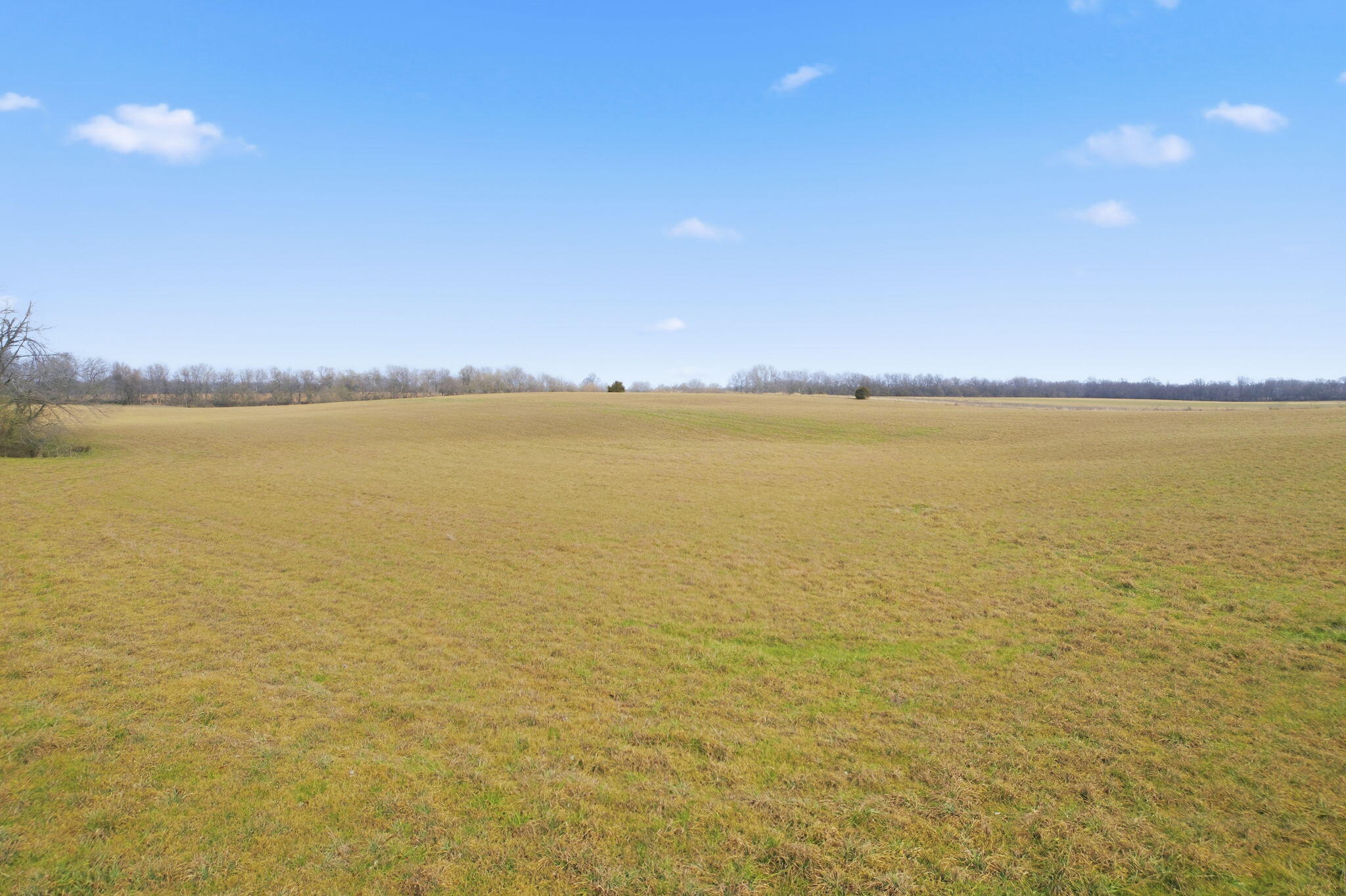 000 Tract6 West Farm Road 174 Property Photo 6