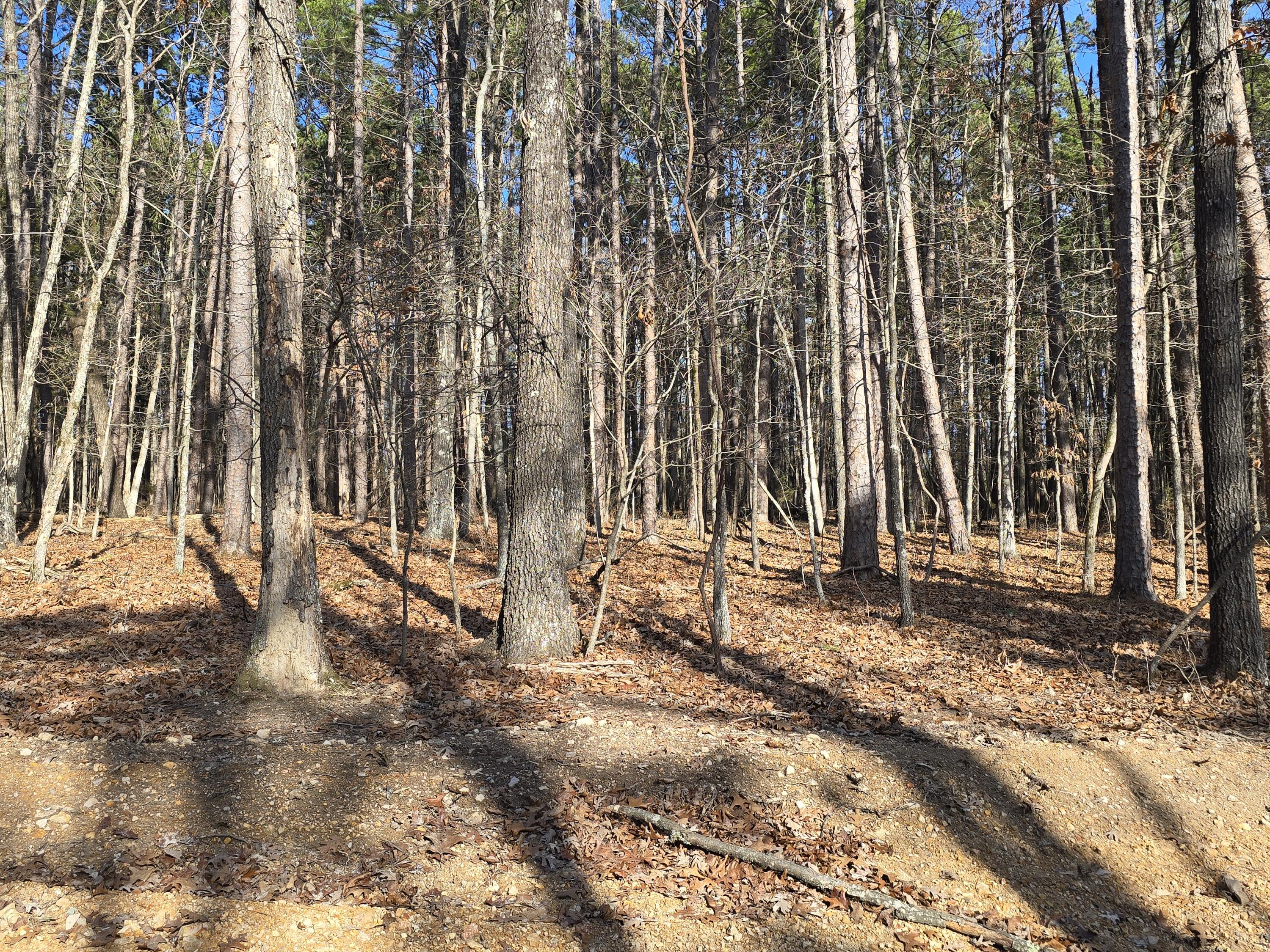 000 Mineral Dr. Lot 3 Property Photo 4