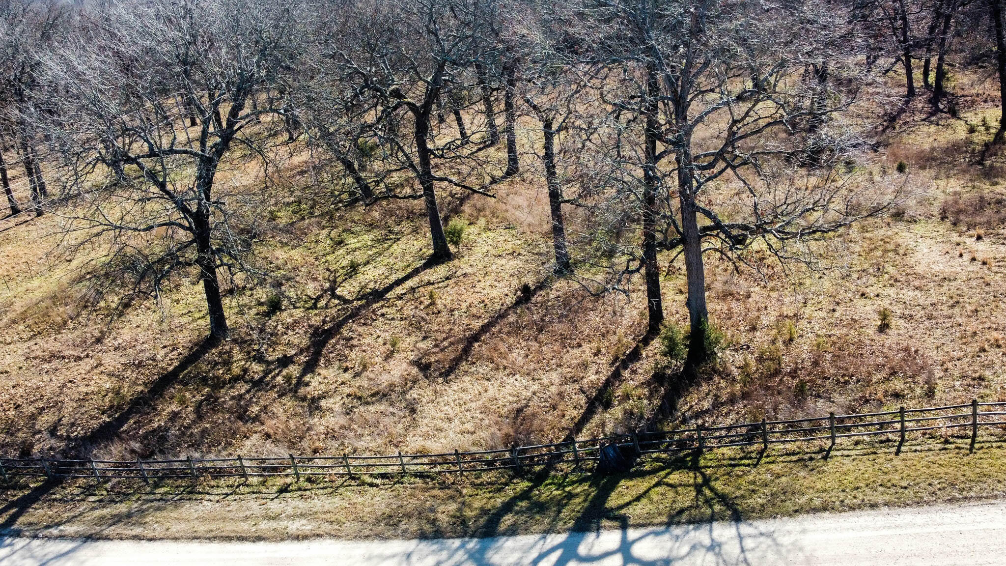 Tbd County Road 640 Property Photo 4