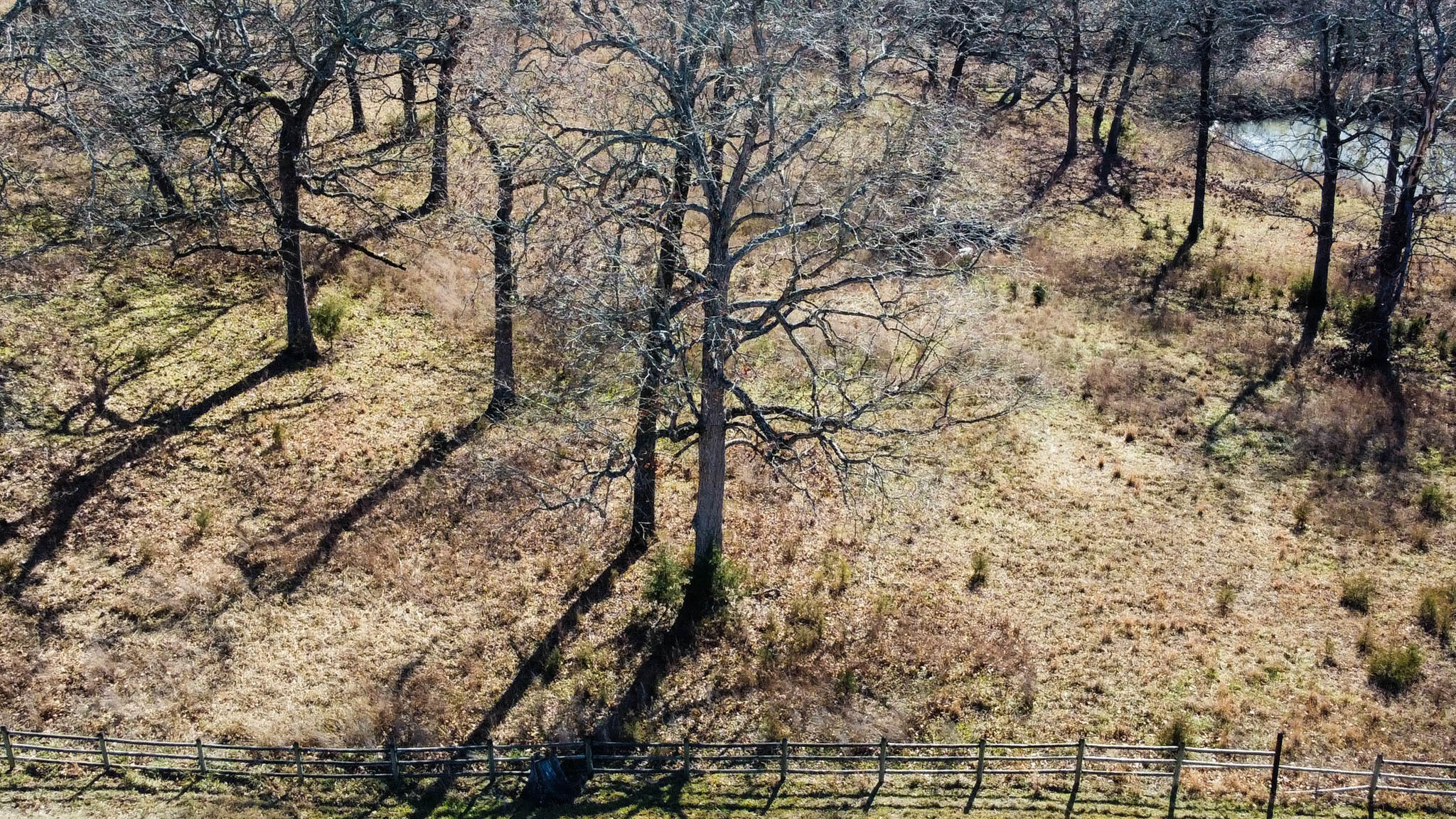 Tbd County Road 640 Property Photo 6