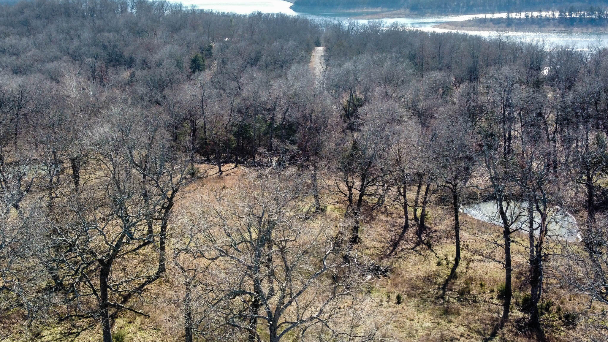 Tbd County Road 640 Property Photo 7