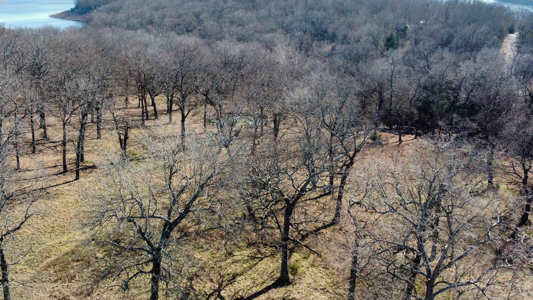 Tbd County Road 640 Property Photo 8