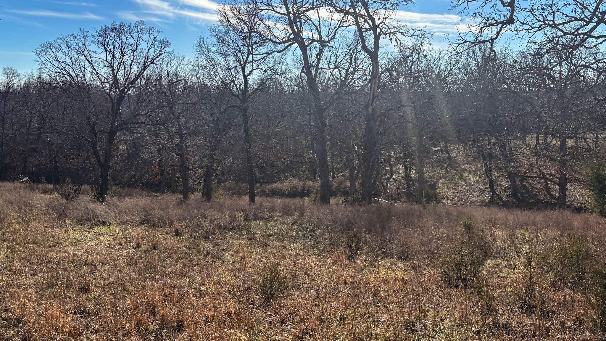 Tbd County Road 640 Property Photo 10