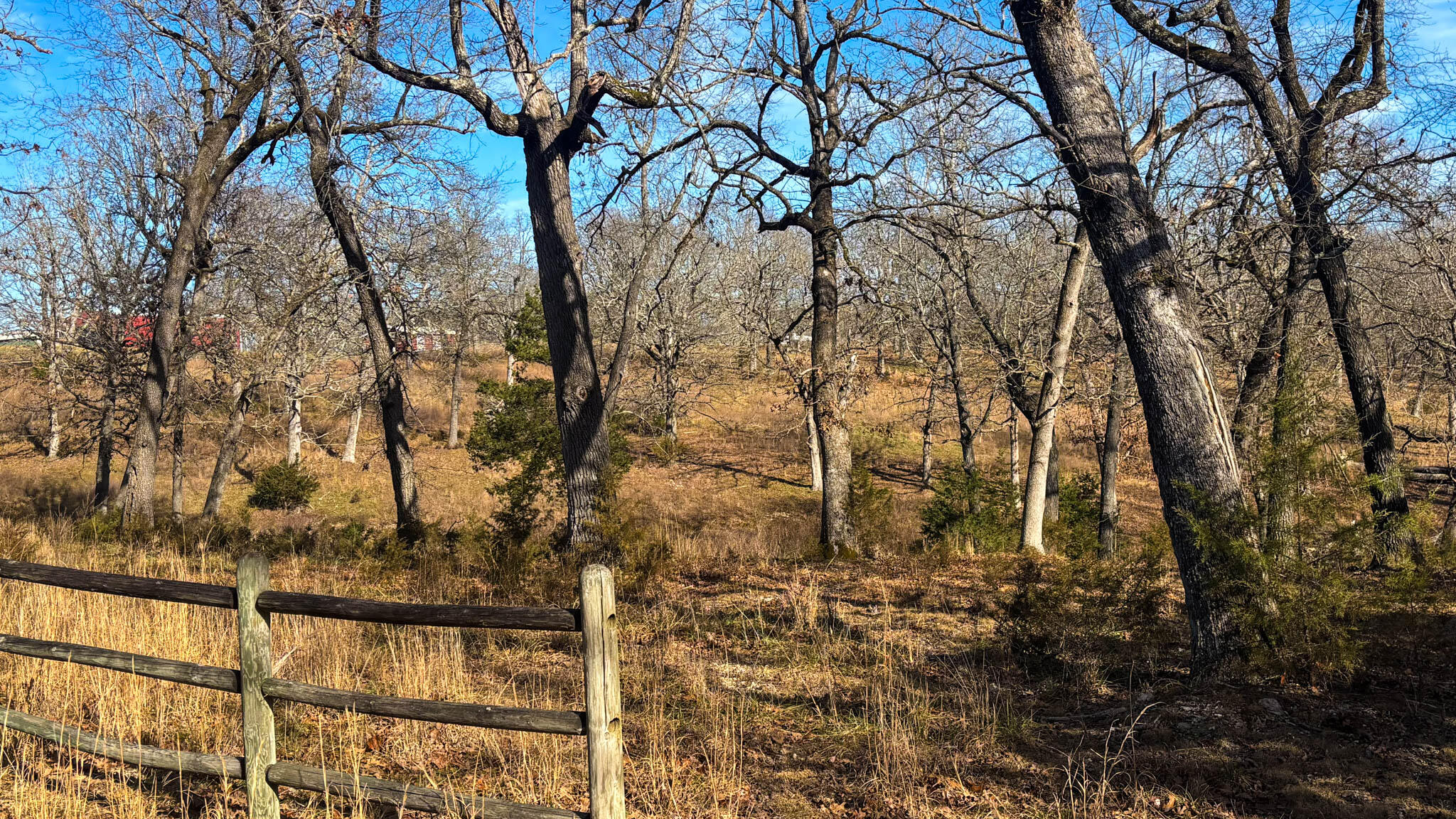 Tbd County Road 640 Property Photo 15