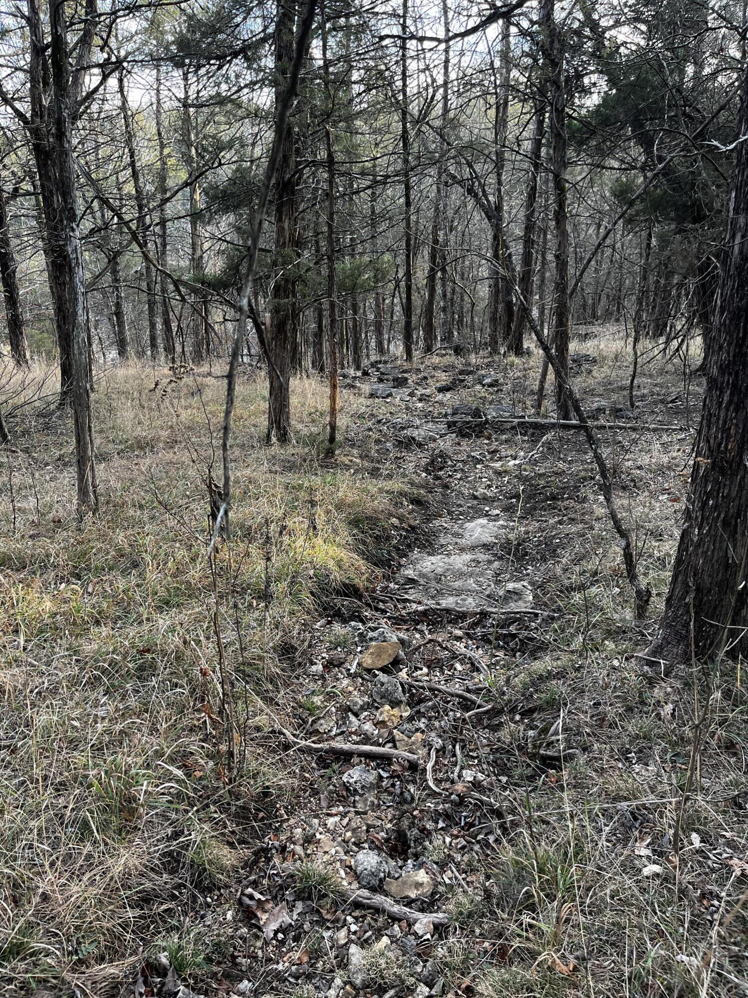 000 Cougar Lane Property Photo 3