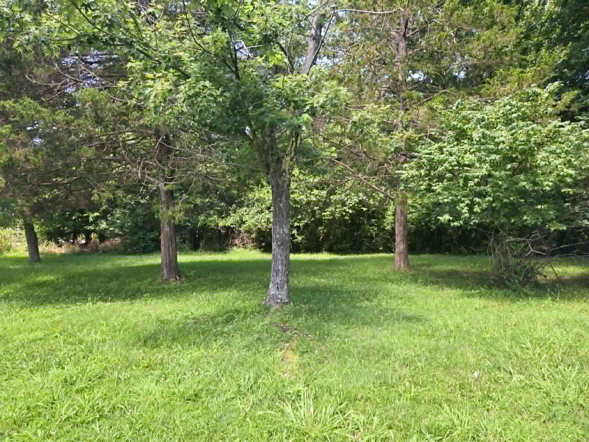 1104 Highland Street Property Photo 13