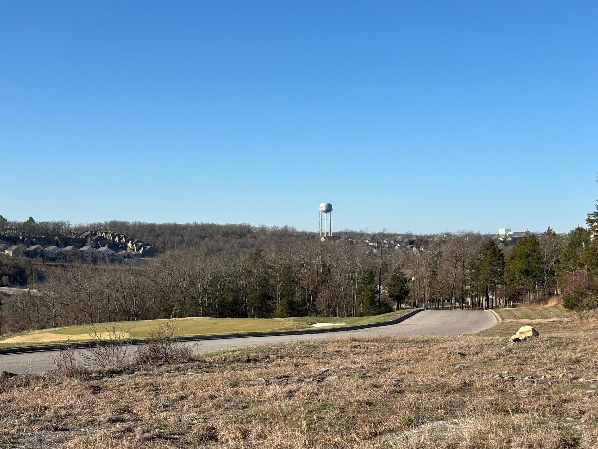 000 Phase 2 Lot 68 Property Photo 3