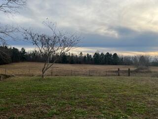 15620 County Road Ww-a Property Photo 40
