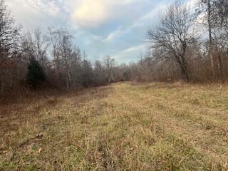 15620 County Road Ww-a Property Photo 61