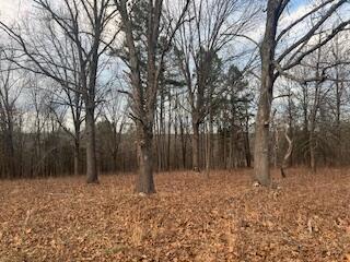 15620 County Road Ww-a Property Photo 63