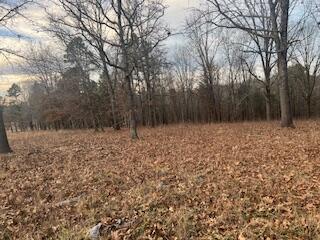 15620 County Road Ww-a Property Photo 64