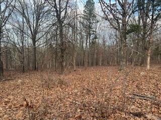 15620 County Road Ww-a Property Photo 65