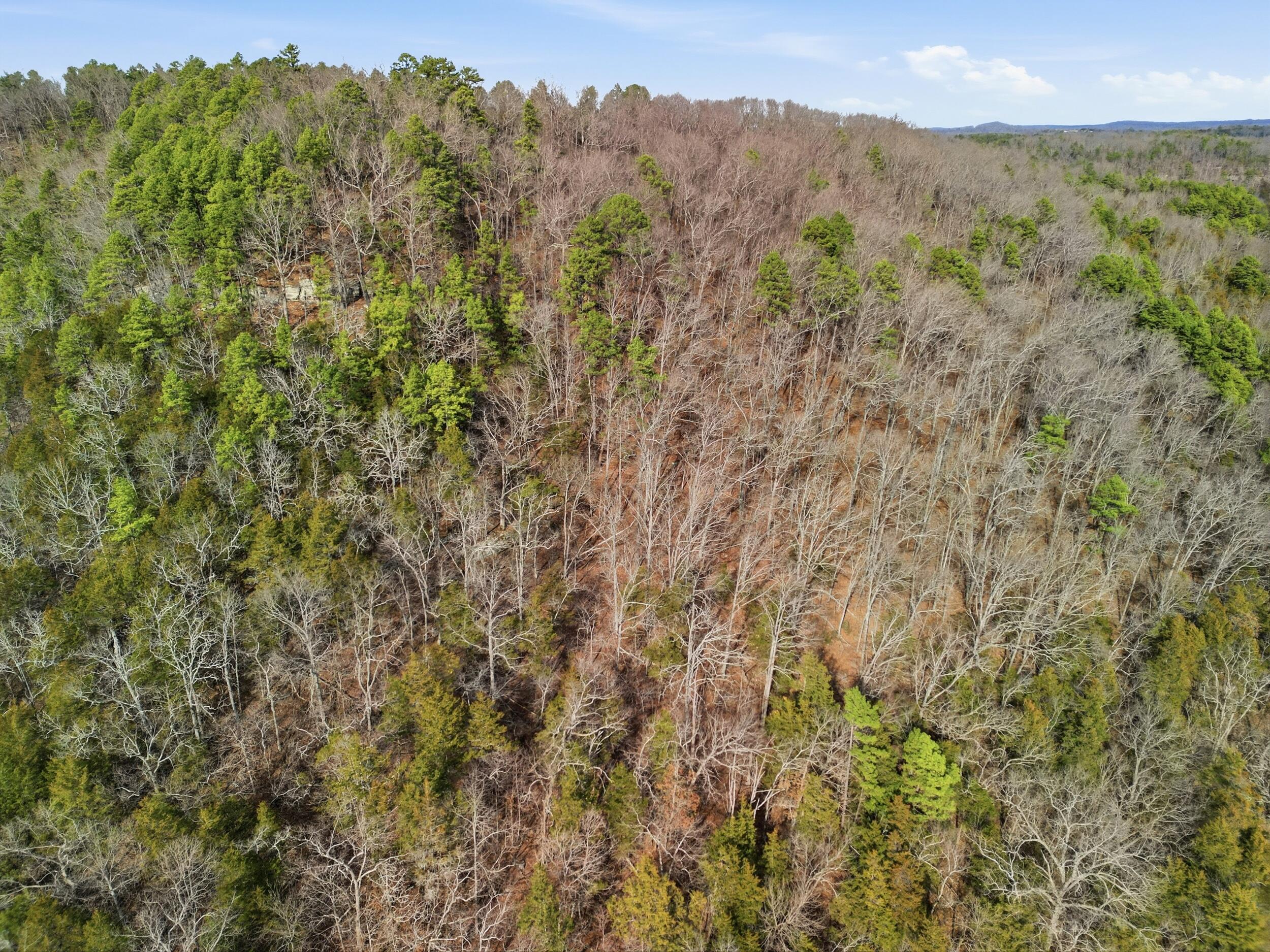 000 County Road Ab-230 Property Photo 14