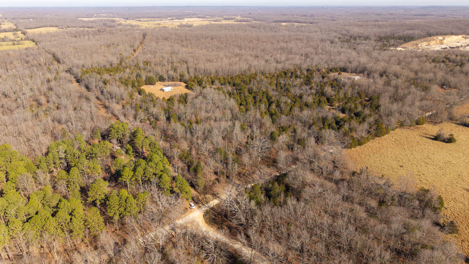 1789 County Road 226 Property Photo 5
