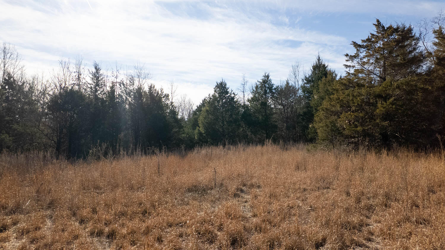 1789 County Road 226 Property Photo 13