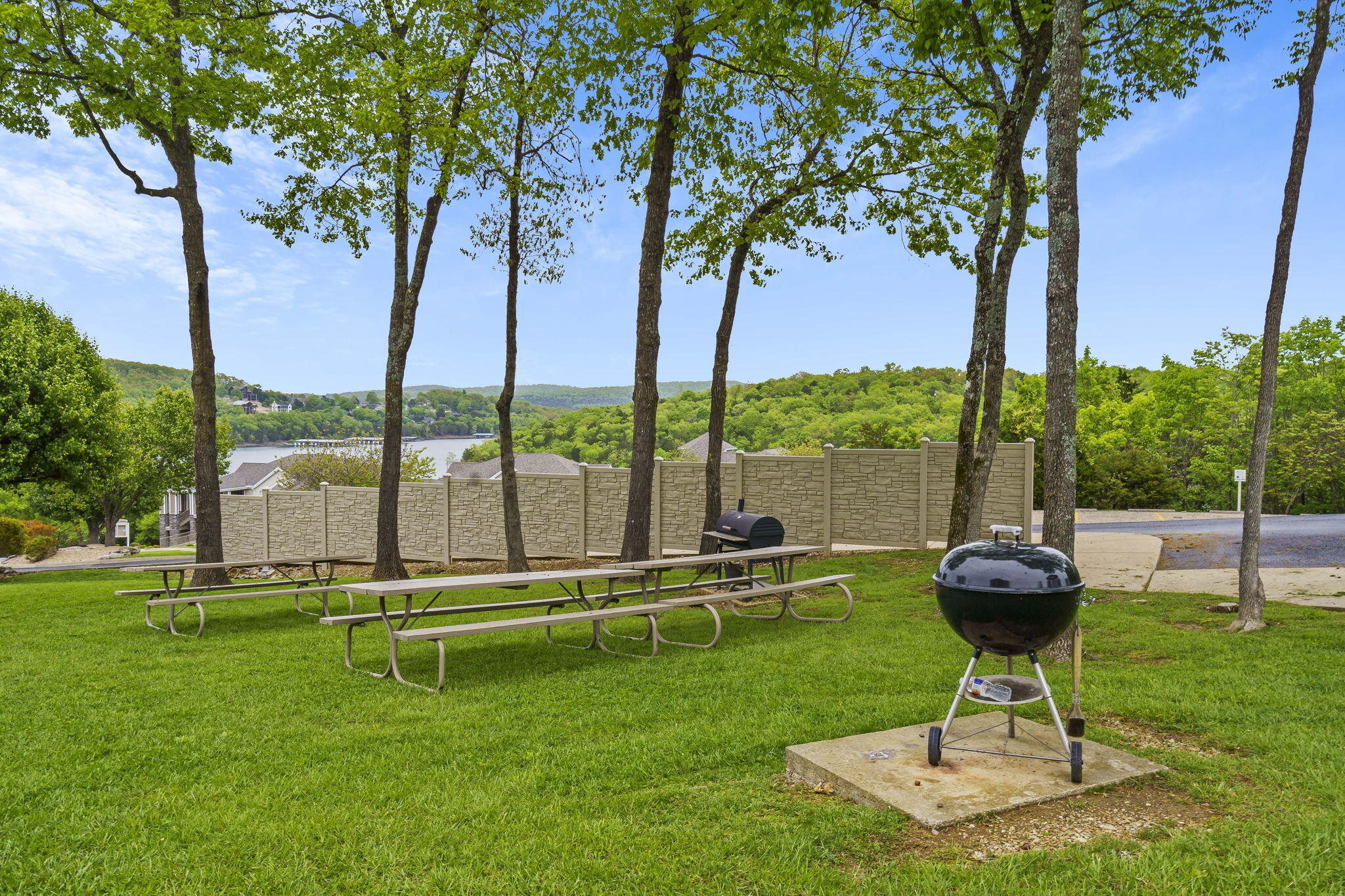 635 Ozark Mountain Resort Drive 115 Property Photo 41