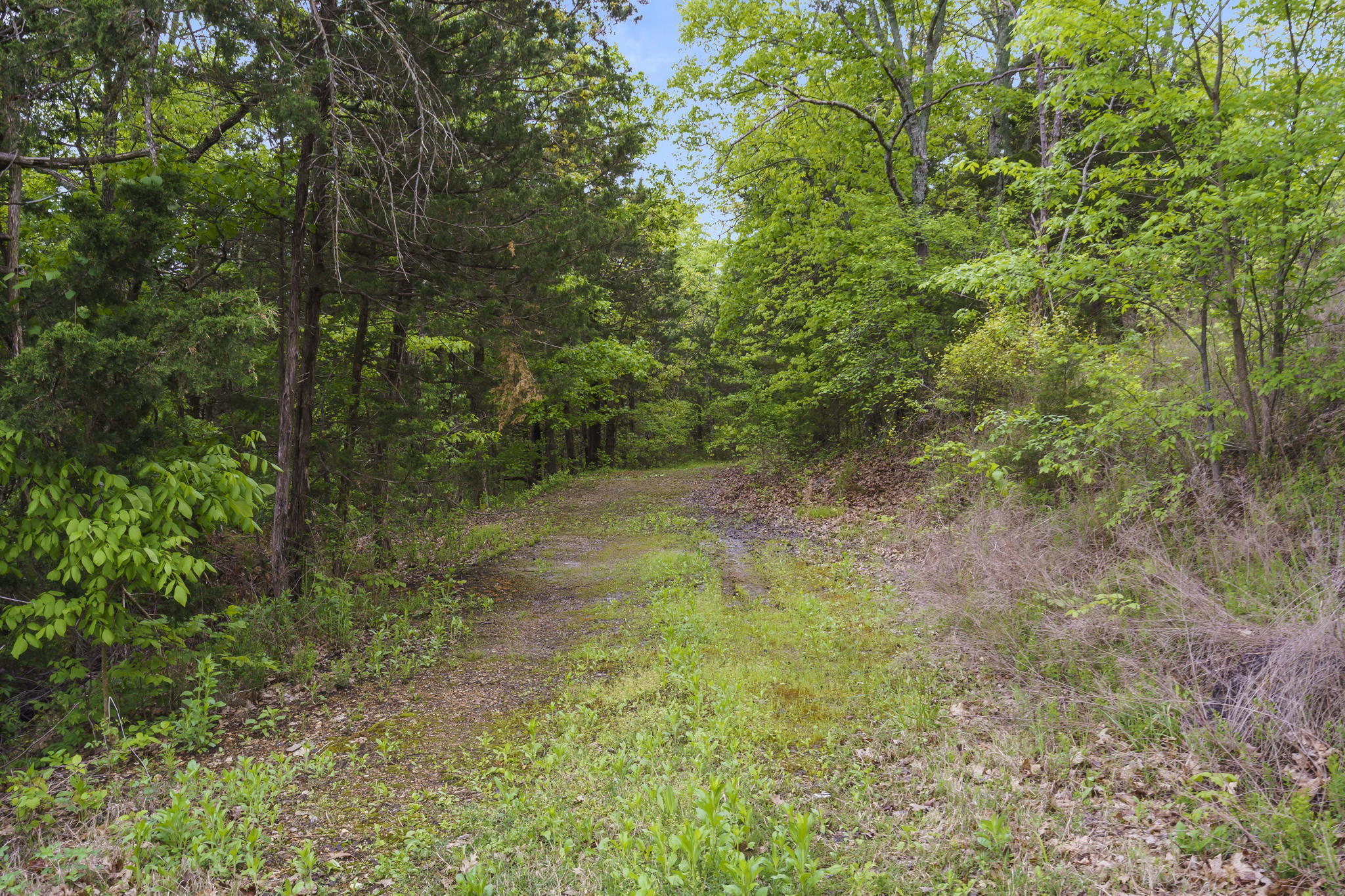 635 Ozark Mountain Resort Drive 115 Property Photo 46
