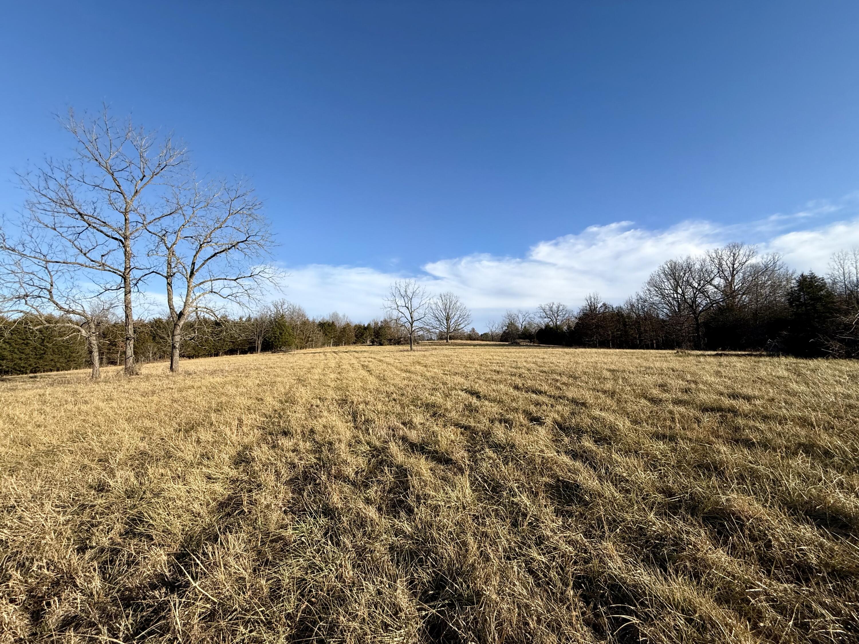 45972 Hwy 72 Tract 5 Property Photo 8