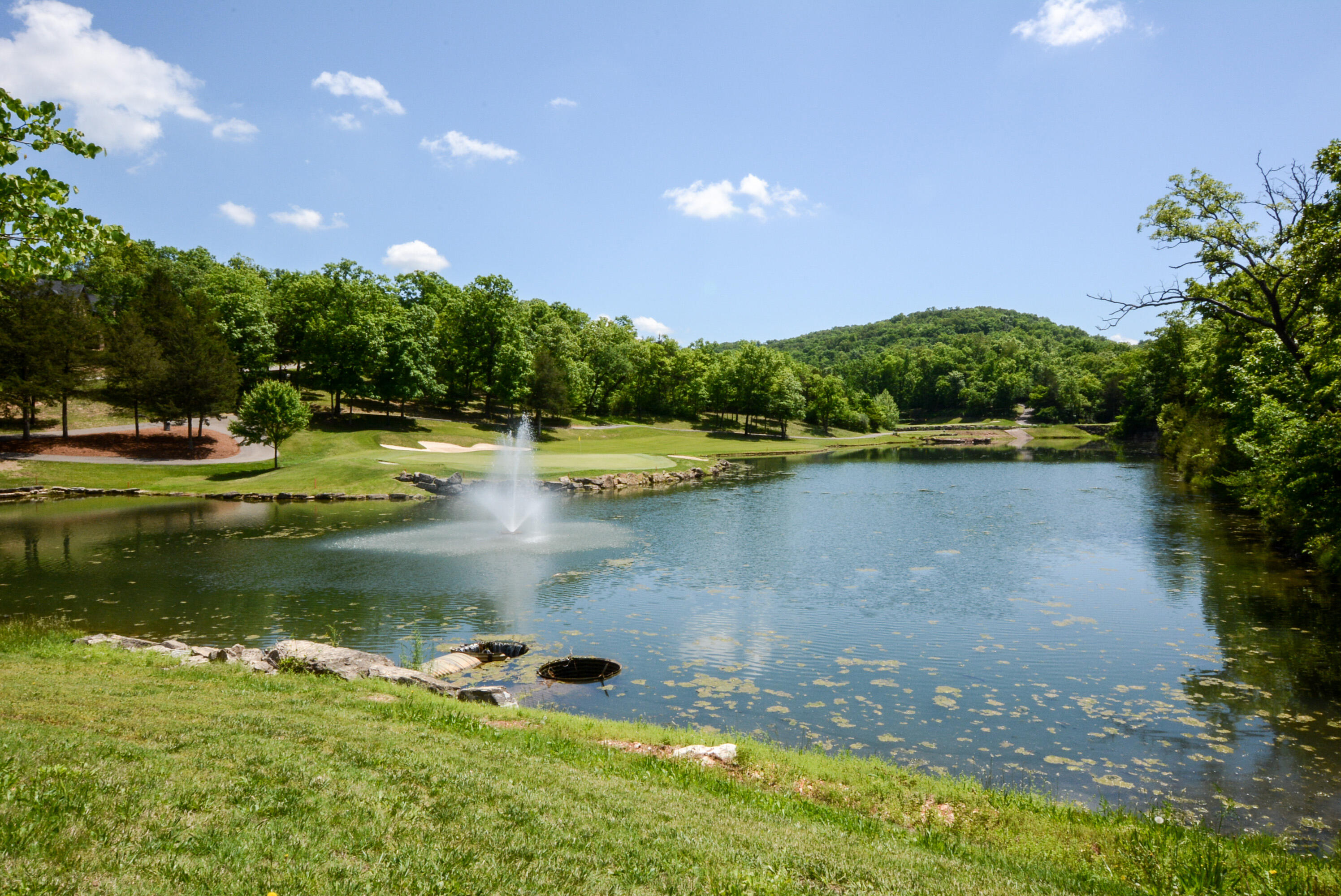 9 Bermuda Drive 2 Property Photo 19
