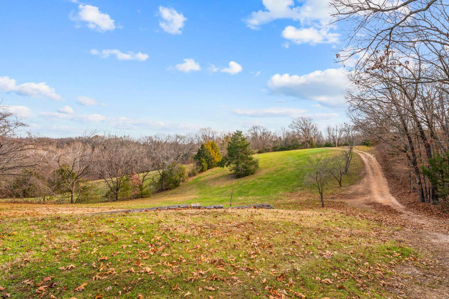 1423 State Hwy 265 Property Photo 4