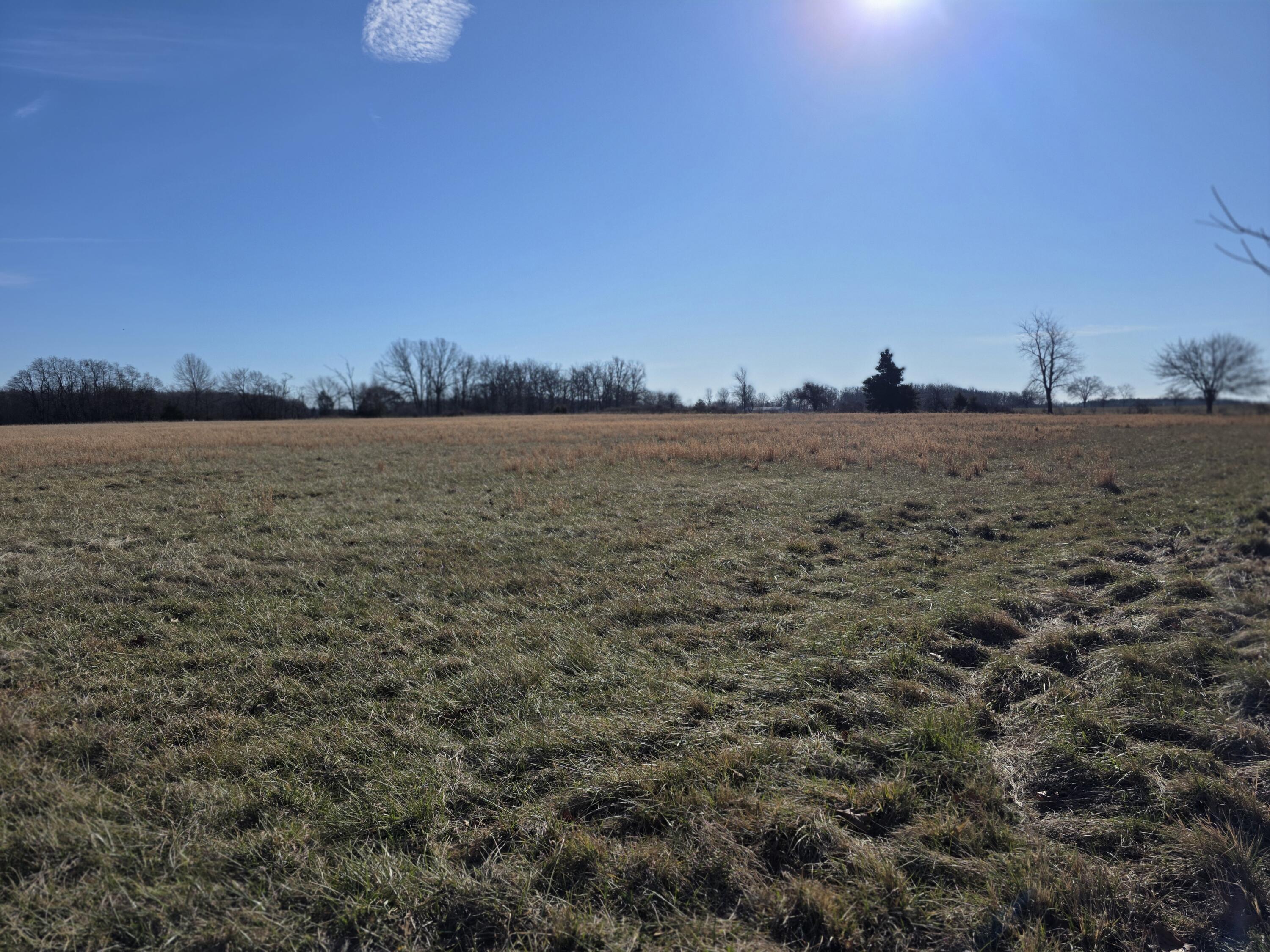 60313163 Property Photo 1