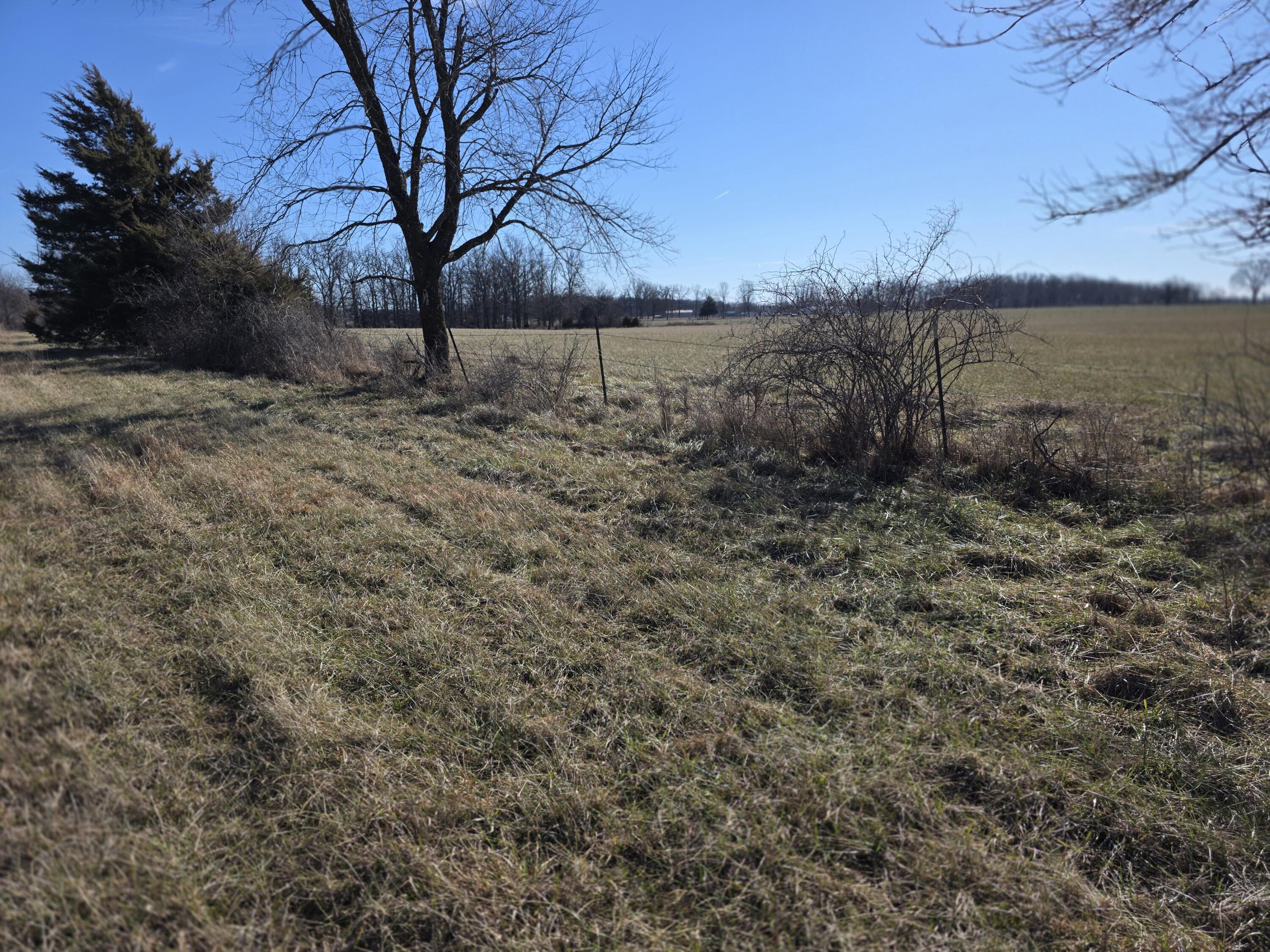 60313163 Property Photo 4