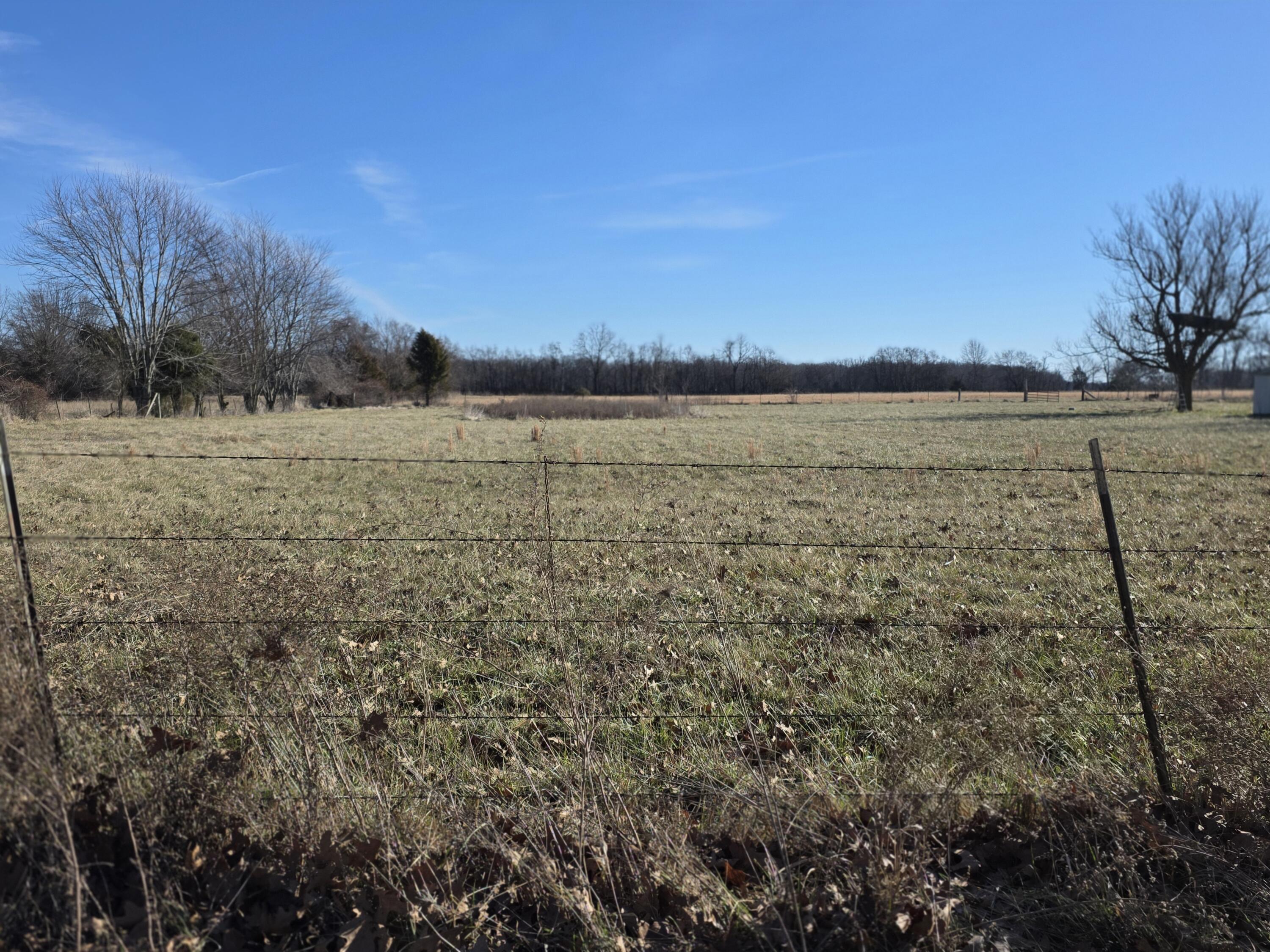 60313163 Property Photo 5