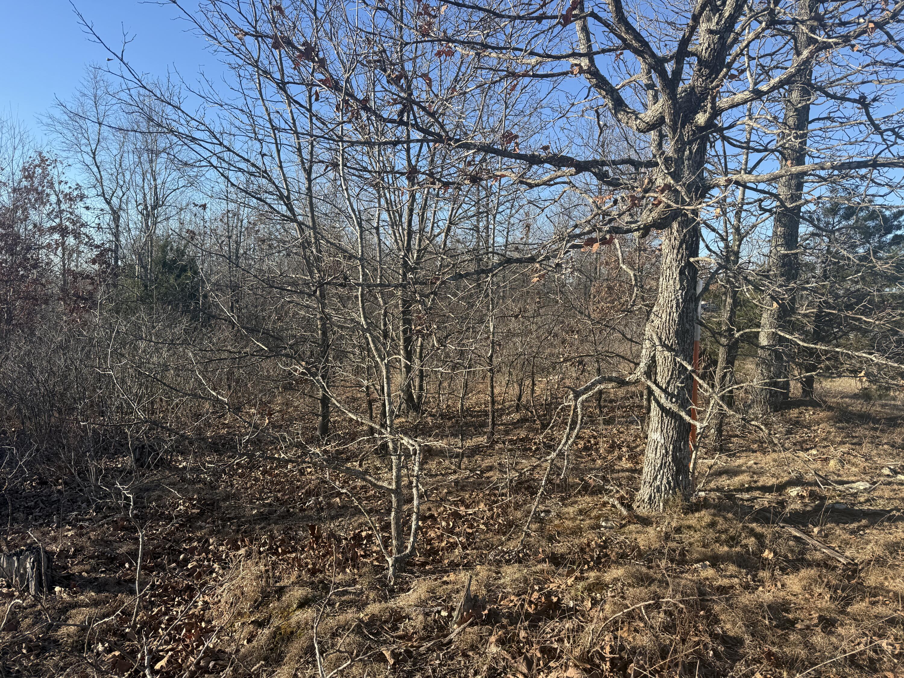 000 Highway U Property Photo 2