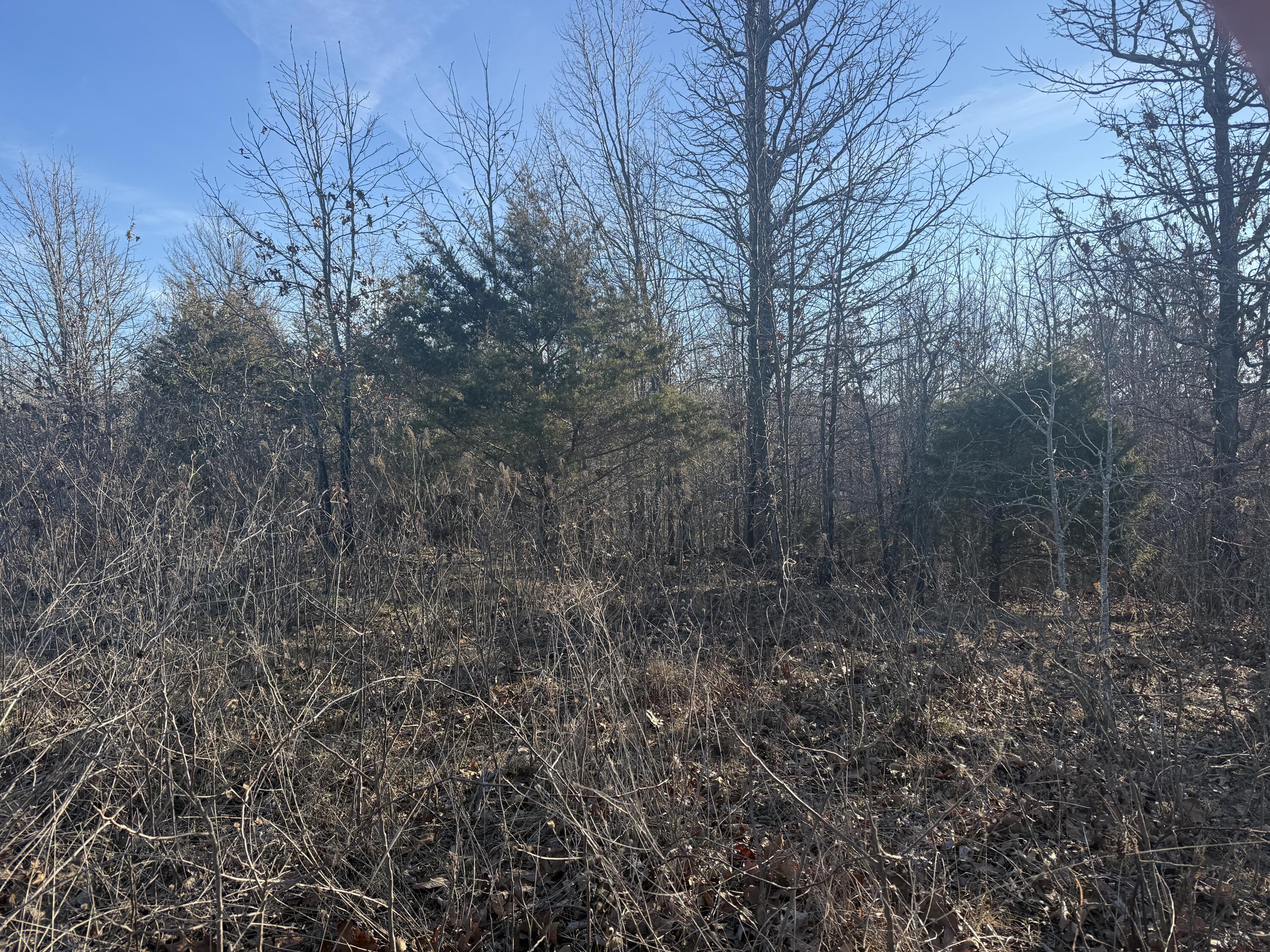000 Highway U Property Photo 3