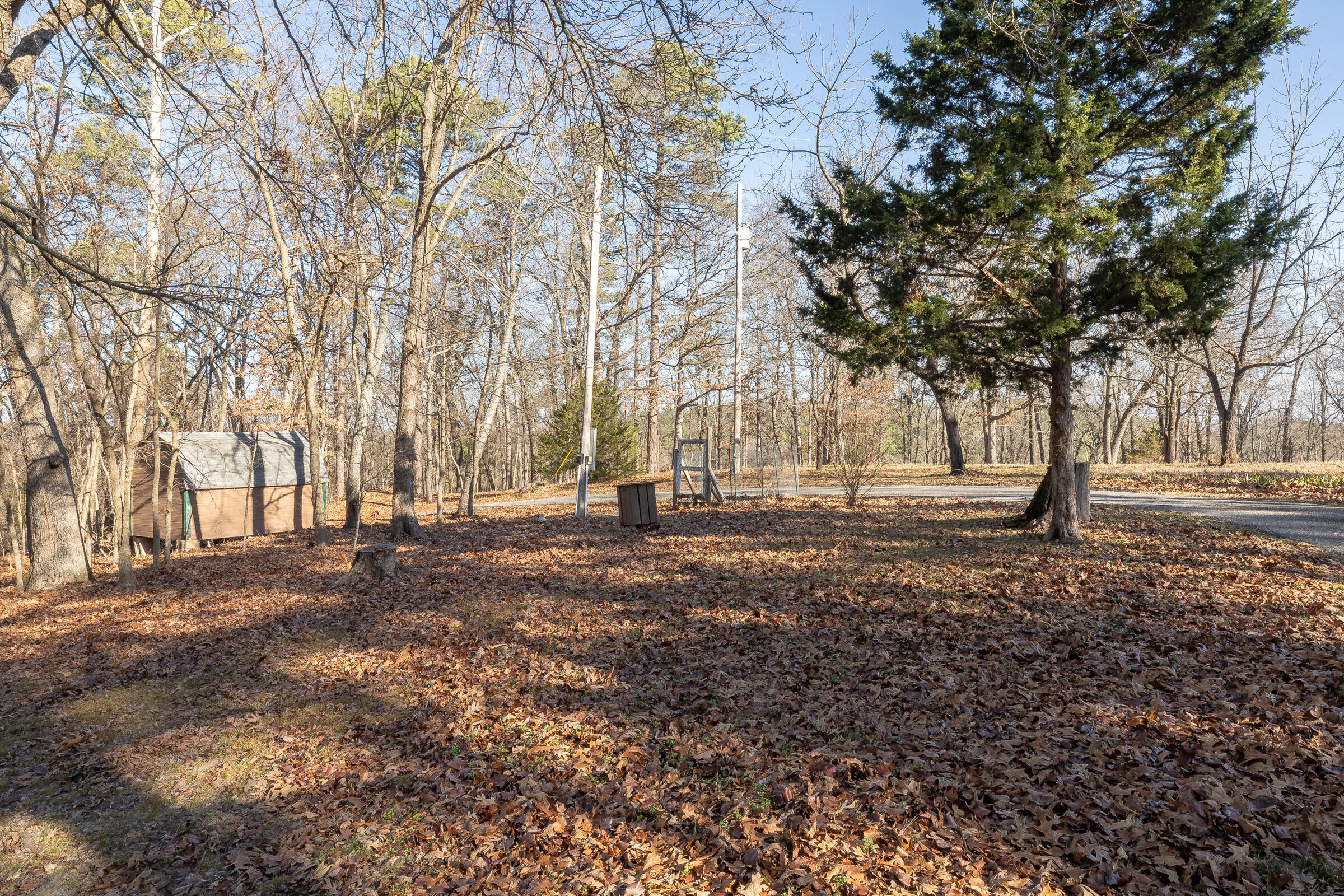 56 Thompson Lane Property Photo 6