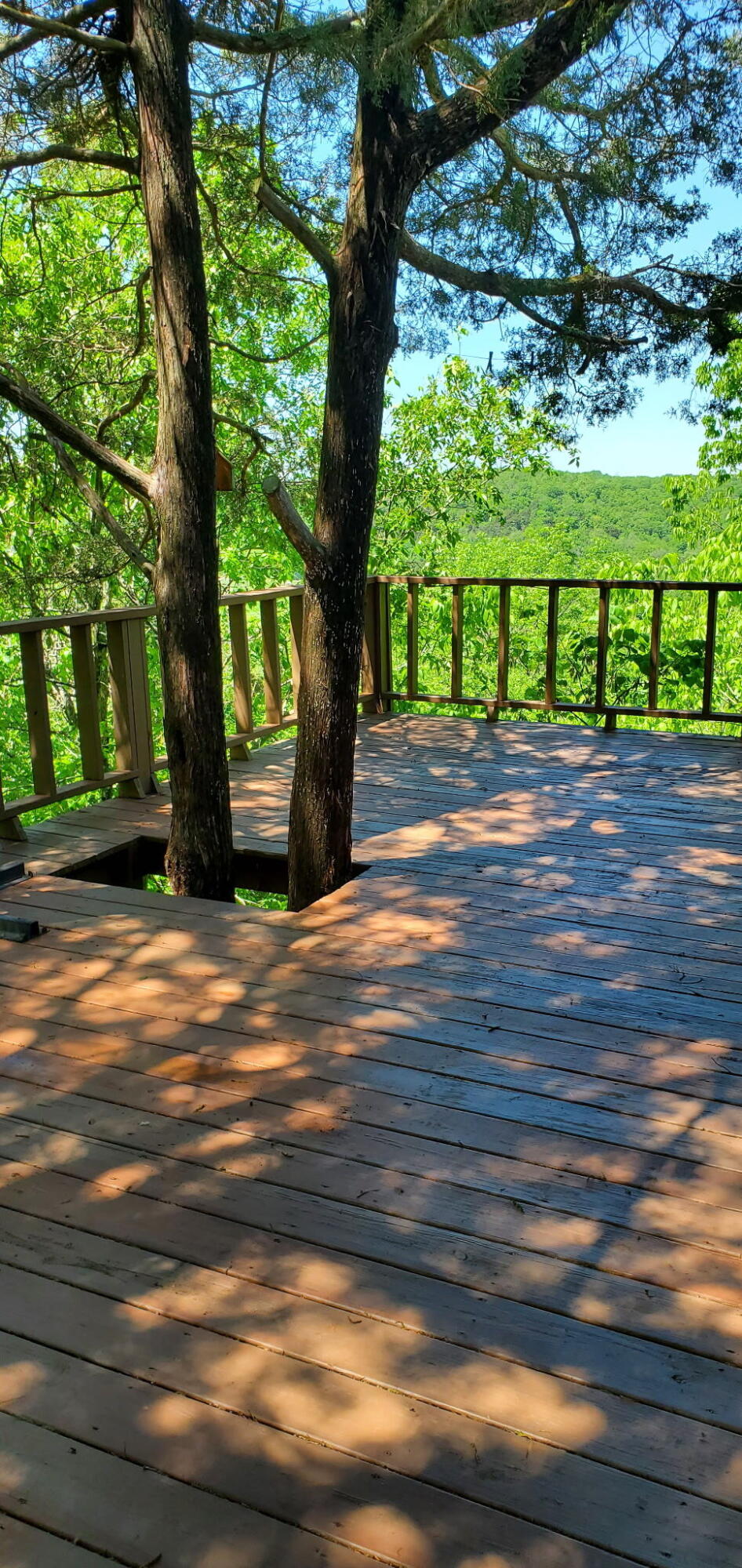 539 Thompson Lane Property Photo 17
