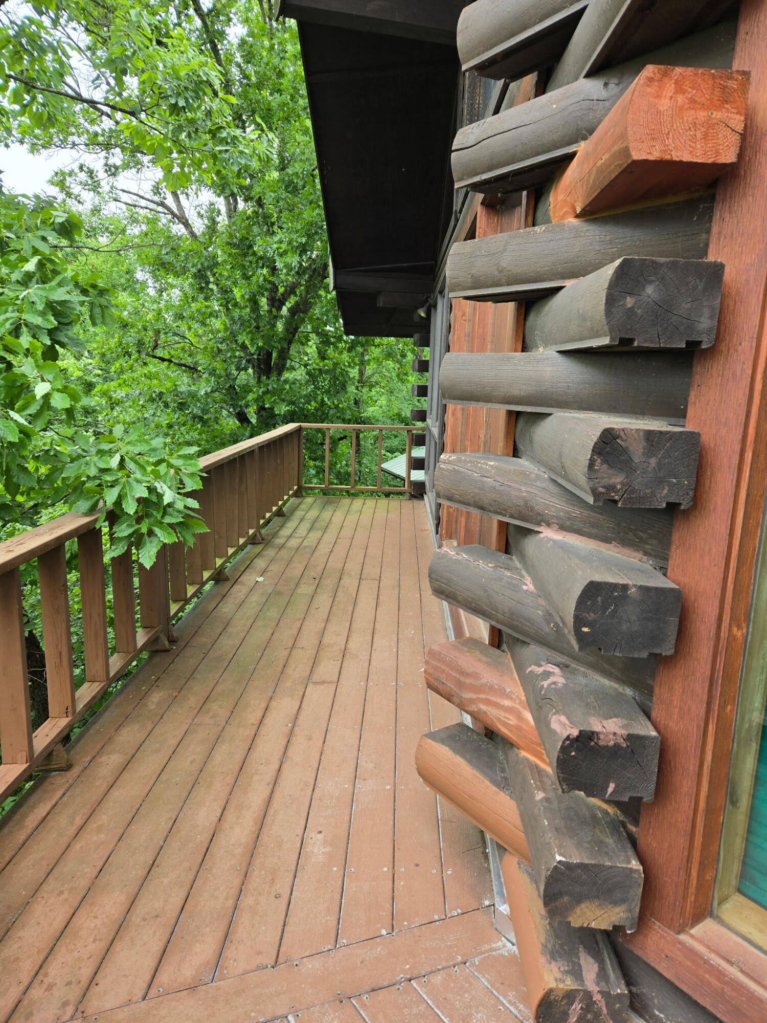 539 Thompson Lane Property Photo 19