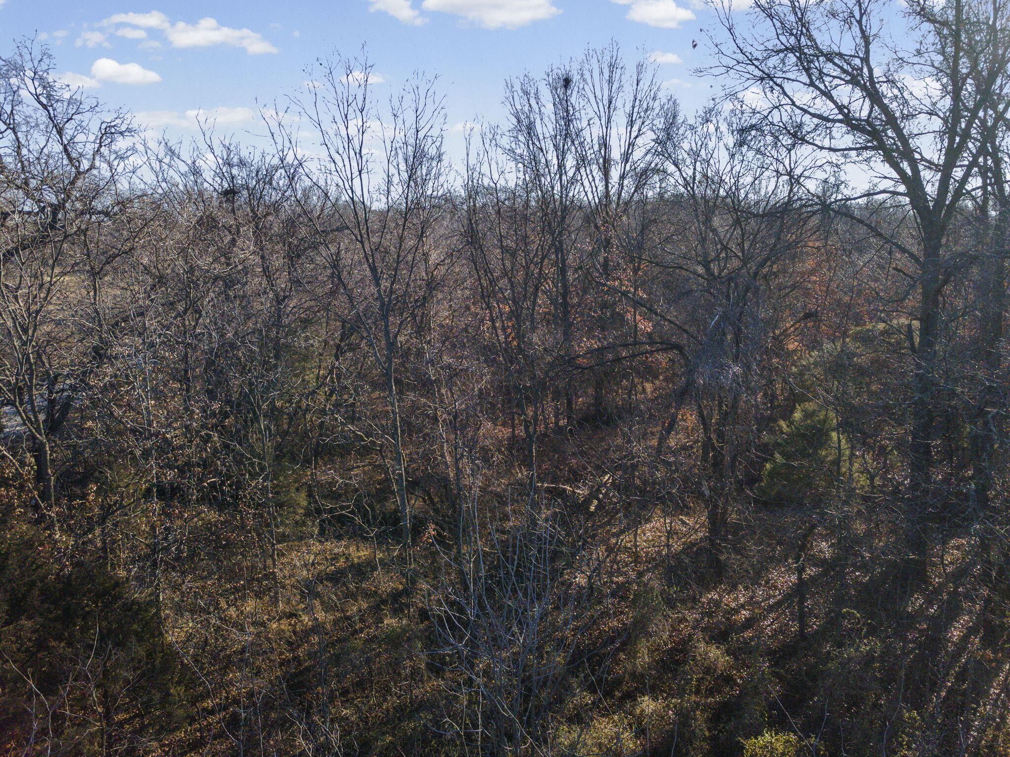 Sw Lot East Pine St Property Photo 7