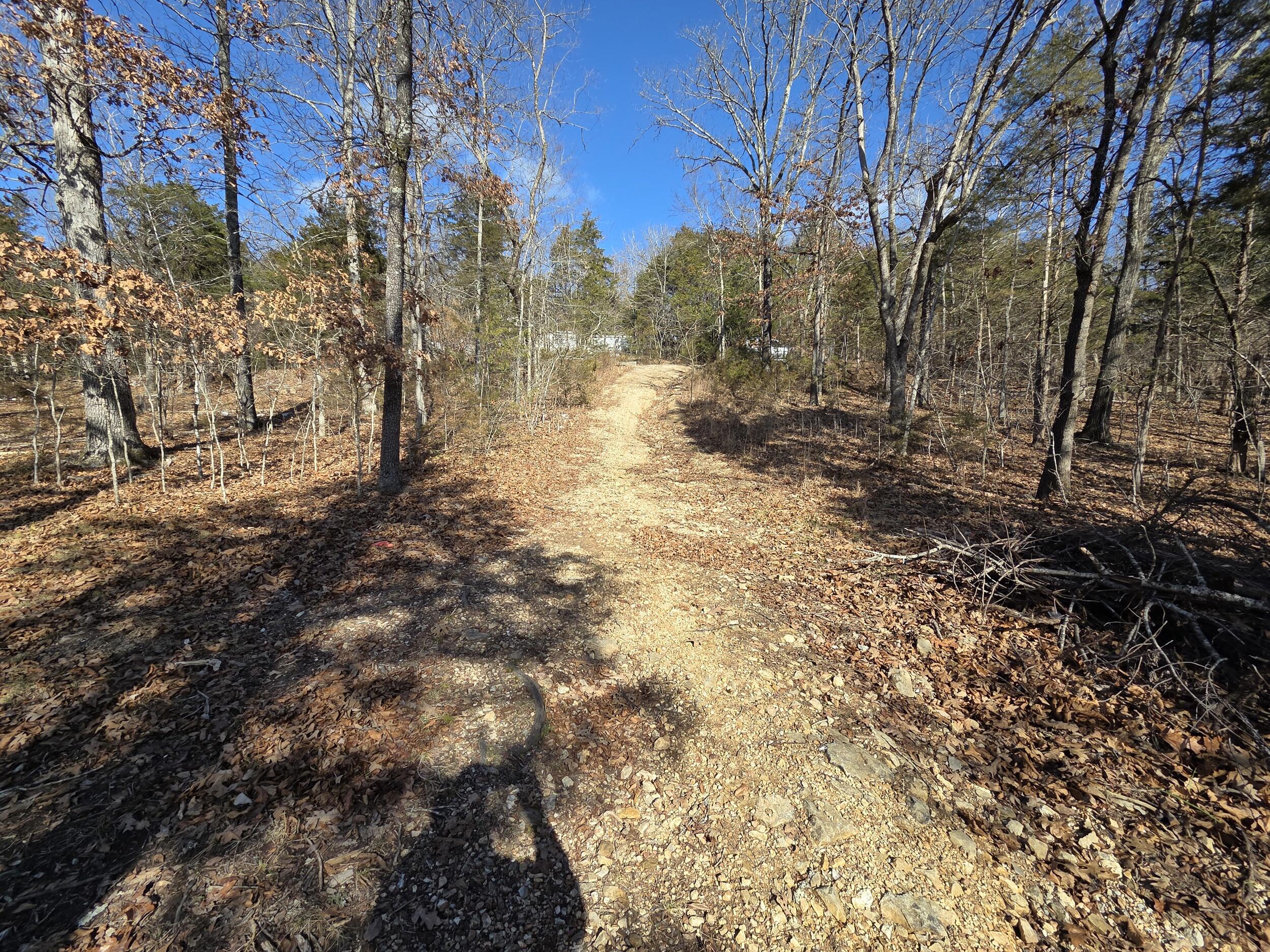 000 Wallace Drive Property Photo 8