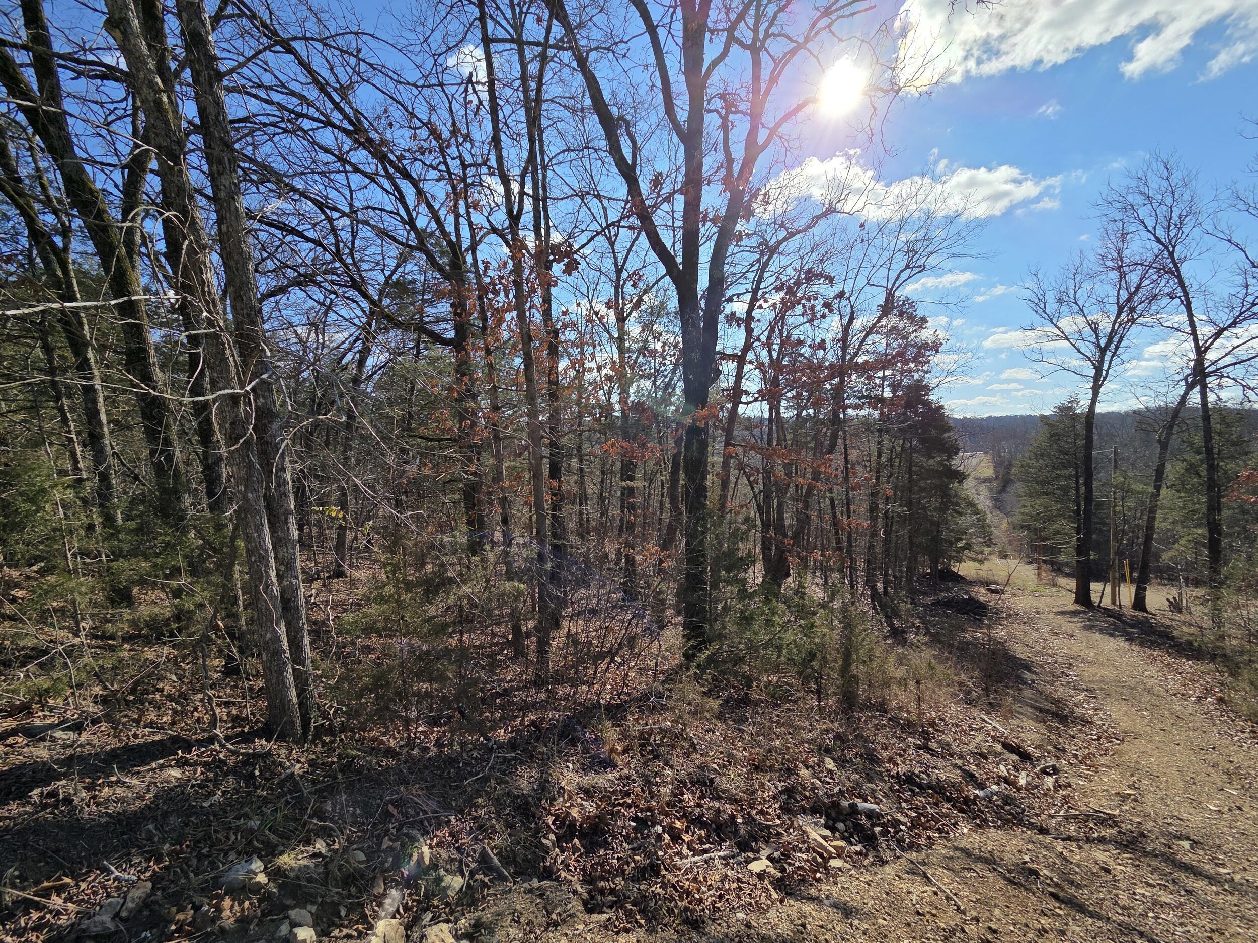 000 Wallace Drive Property Photo 10