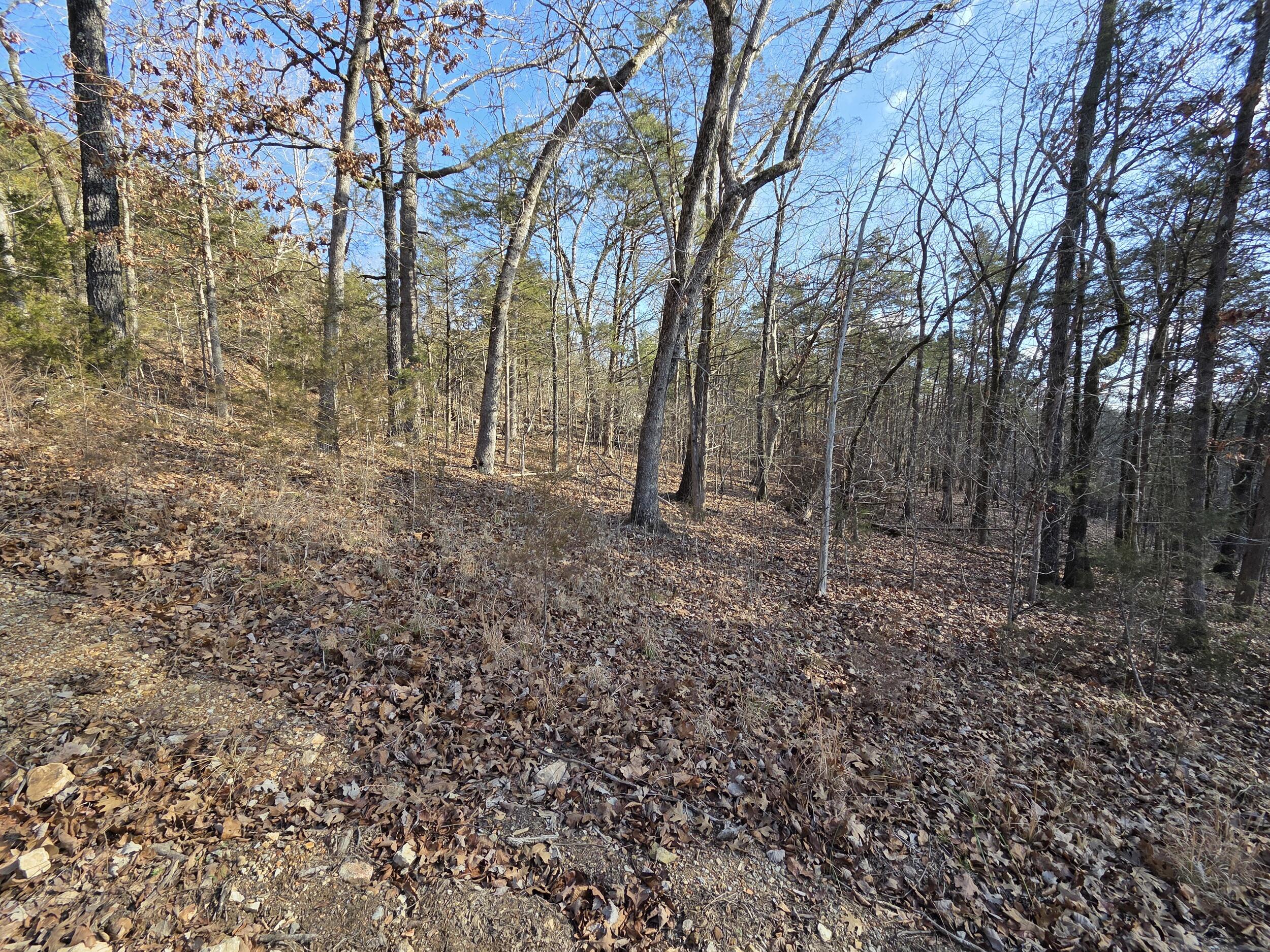 000 Wallace Drive Property Photo 12