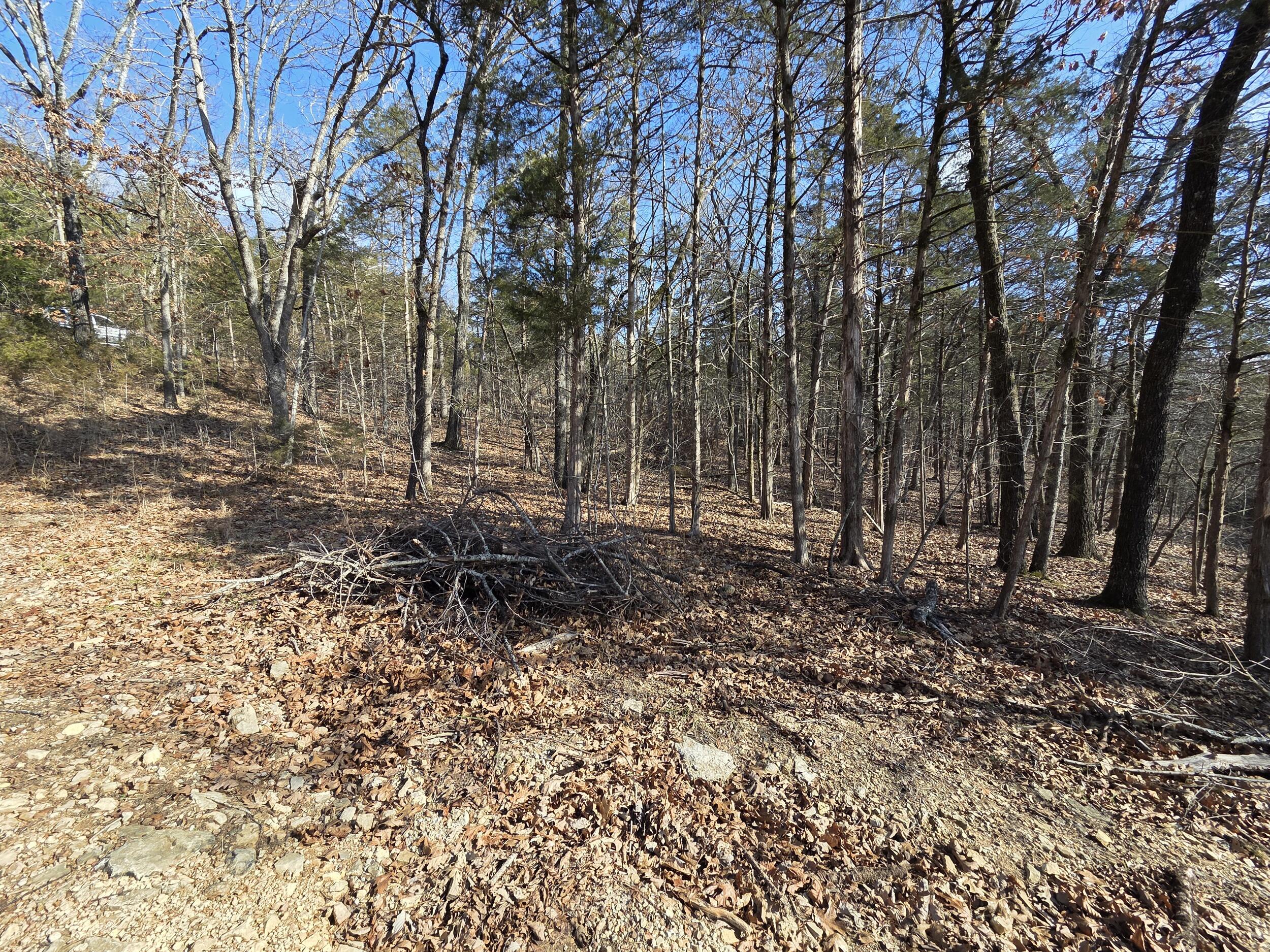 000 Wallace Drive Property Photo 14