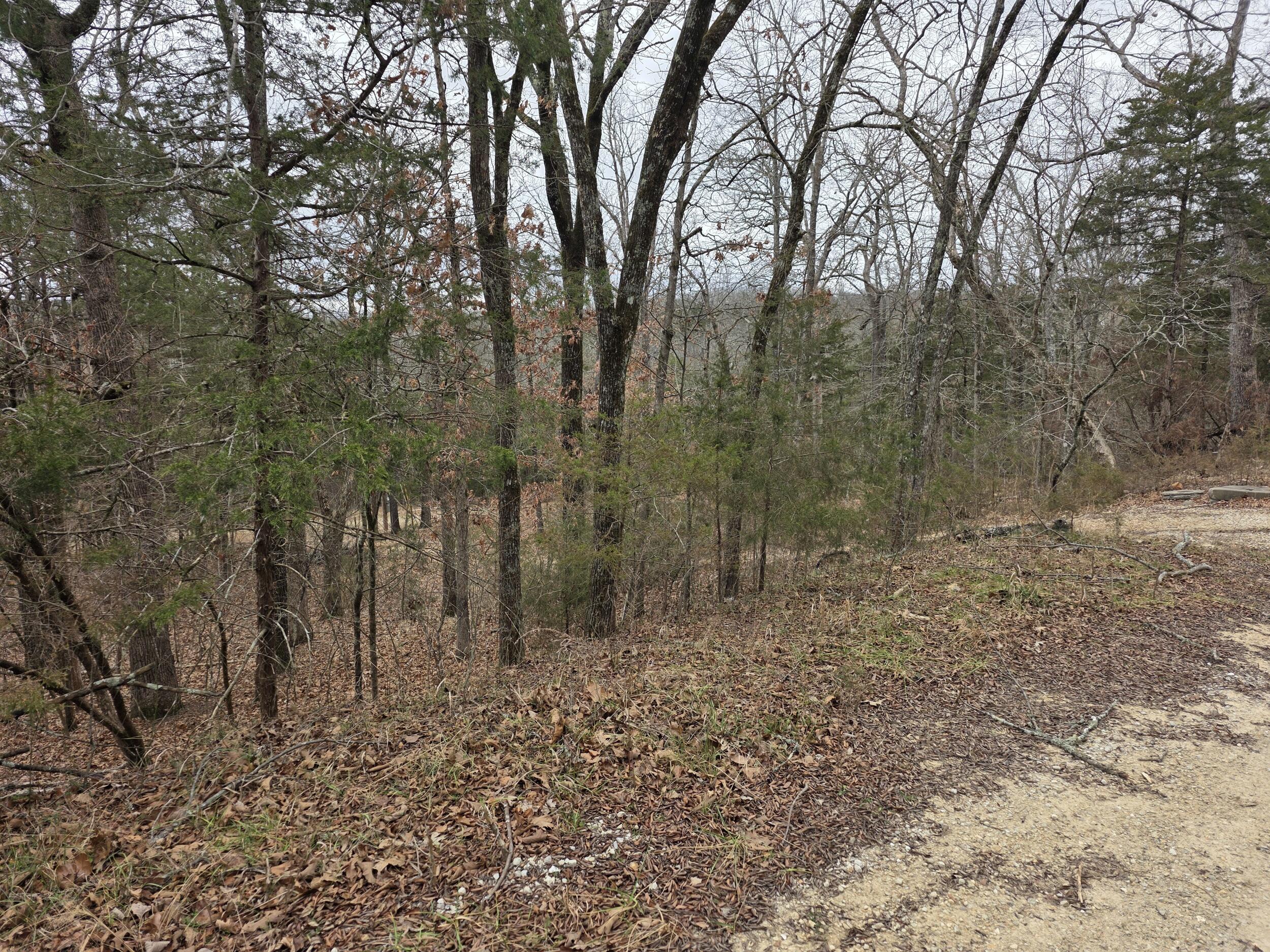 000 Wallace Drive Property Photo 15