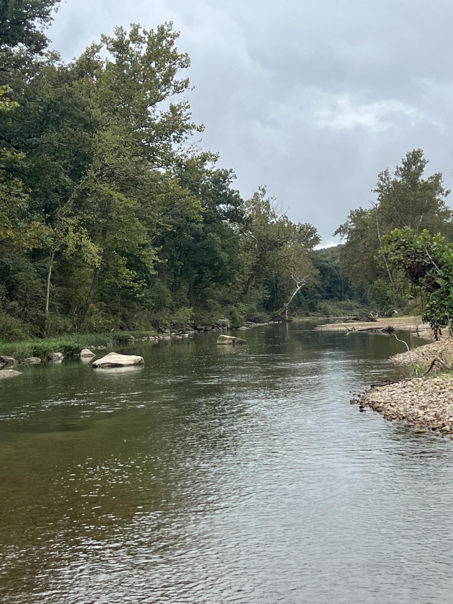 000 County Road 169