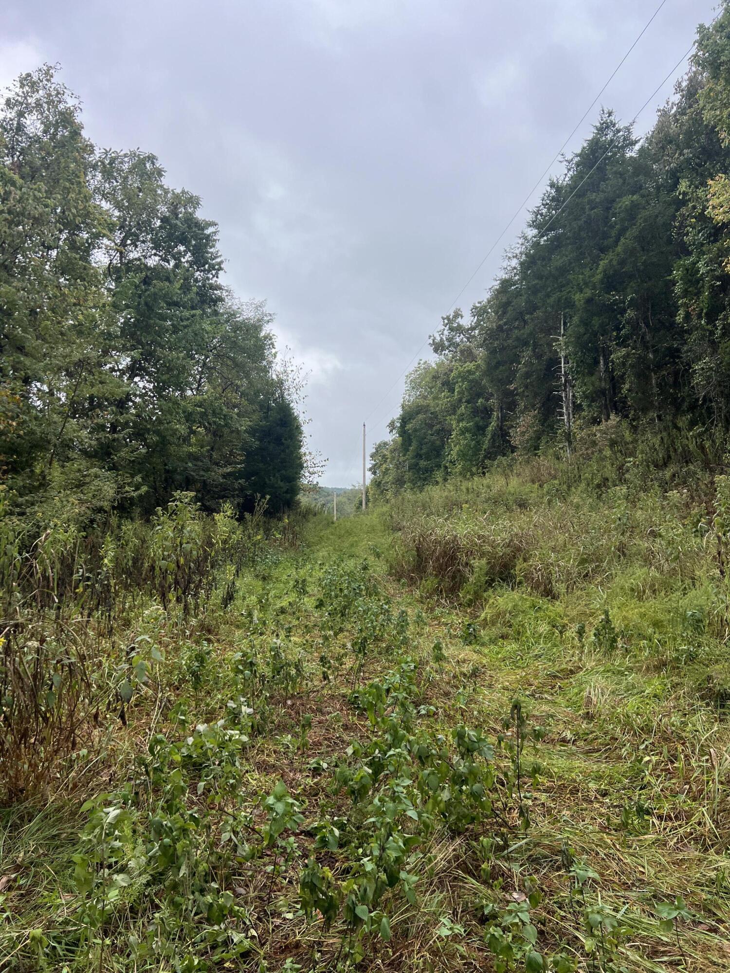 000 County Road 169 Property Photo 14