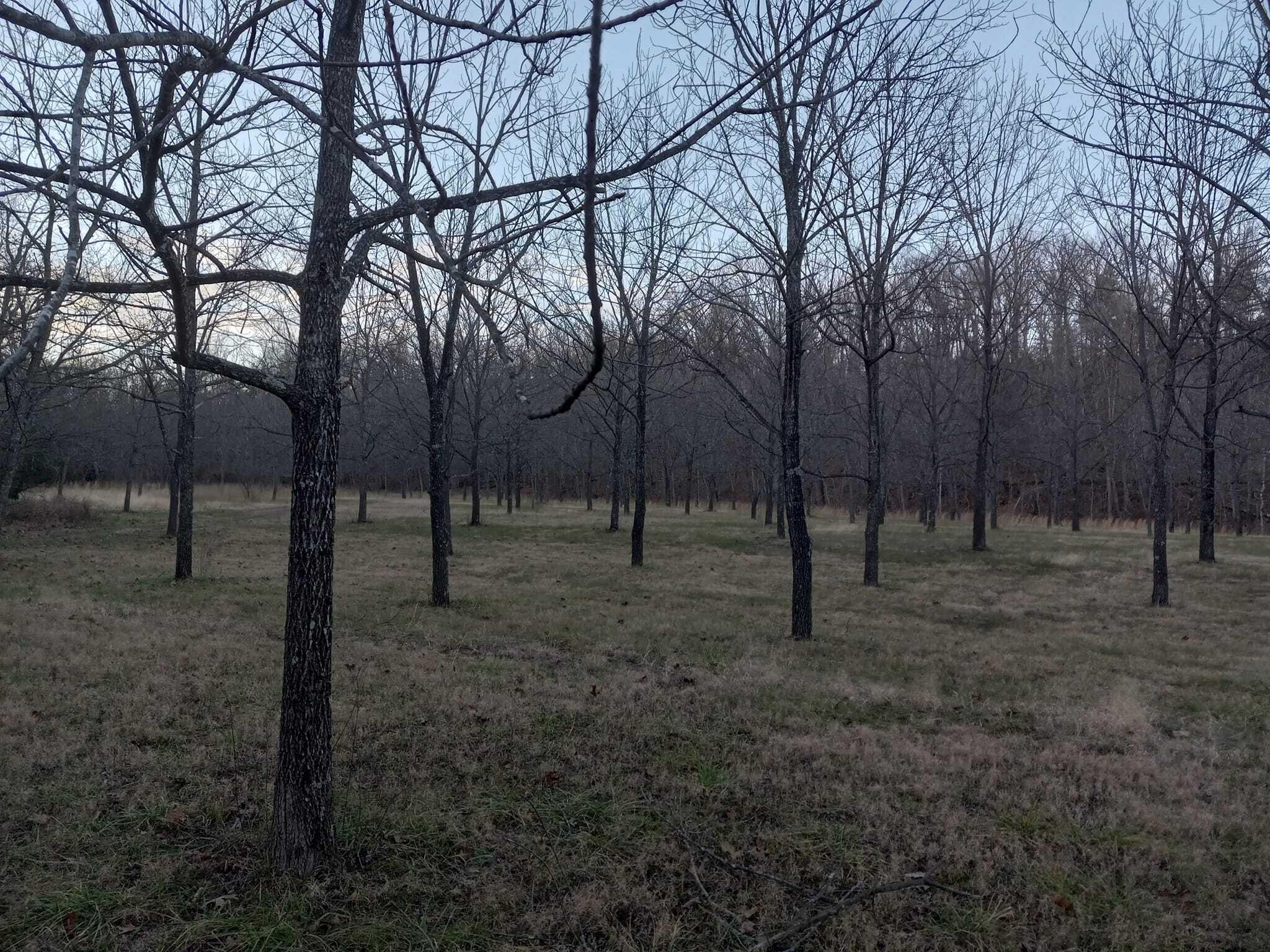 1100 Hattie Drive Property Photo 34
