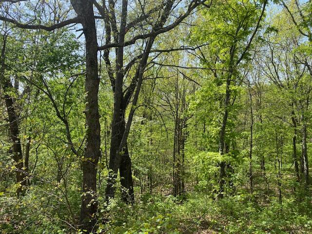 0 East Woodlawn Circle Property Photo 2