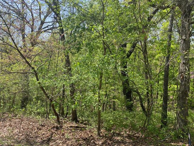 0 East Woodlawn Circle Property Photo 3