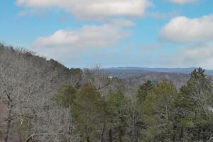 29931 State Hwy 86 Property Photo 13